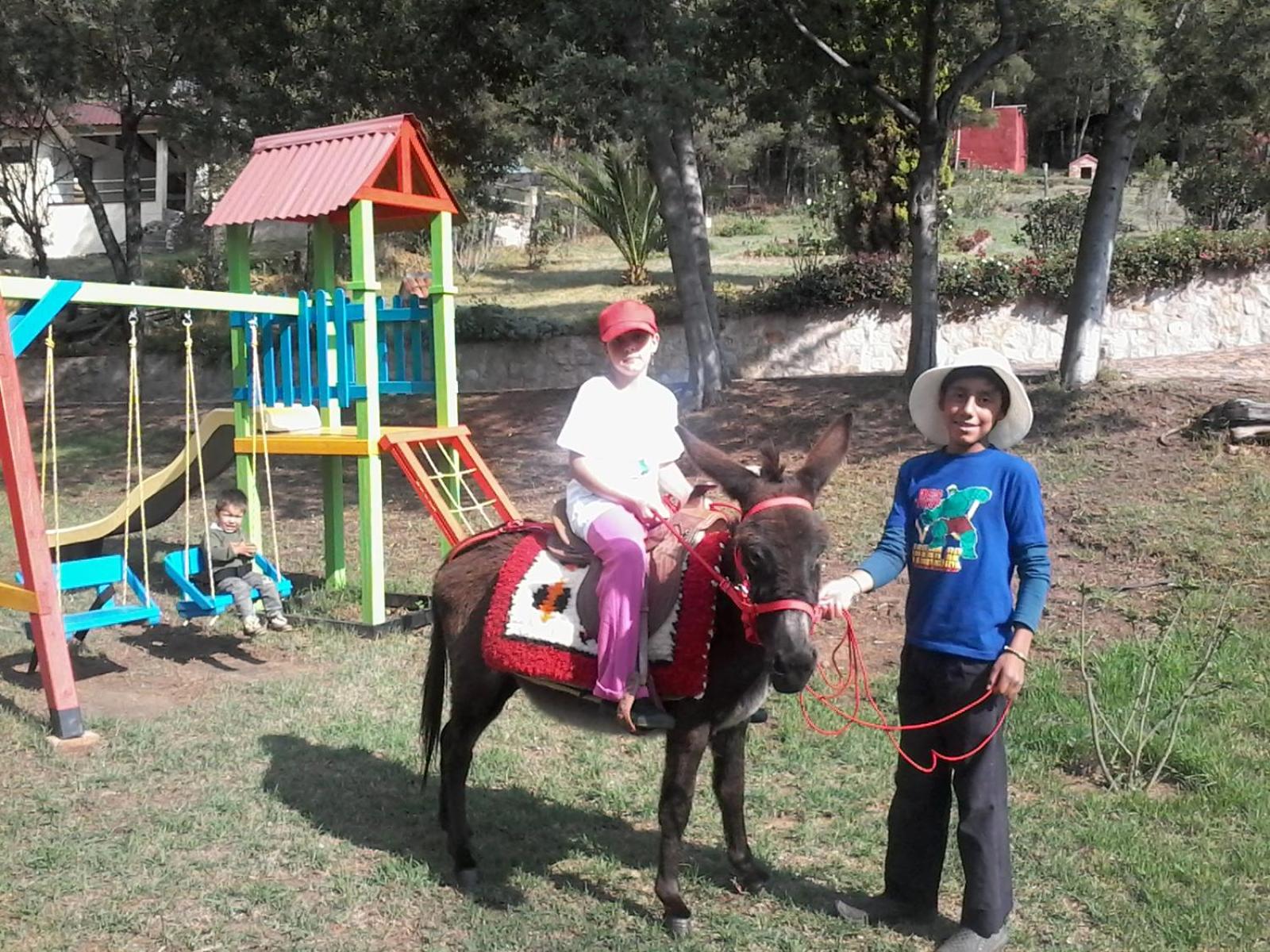 Granja el Milagro - Cabañas Campestres