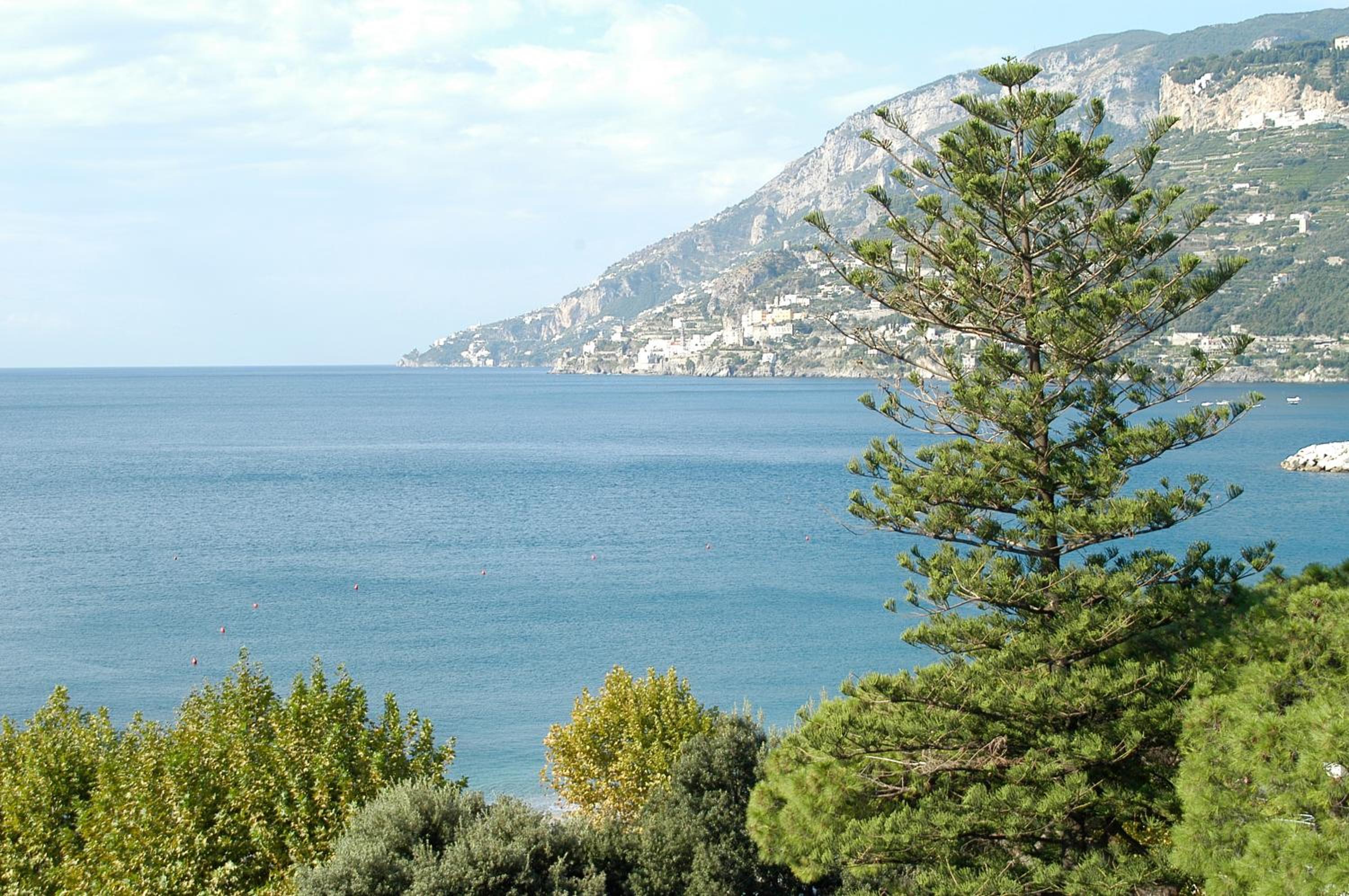 Photo 40