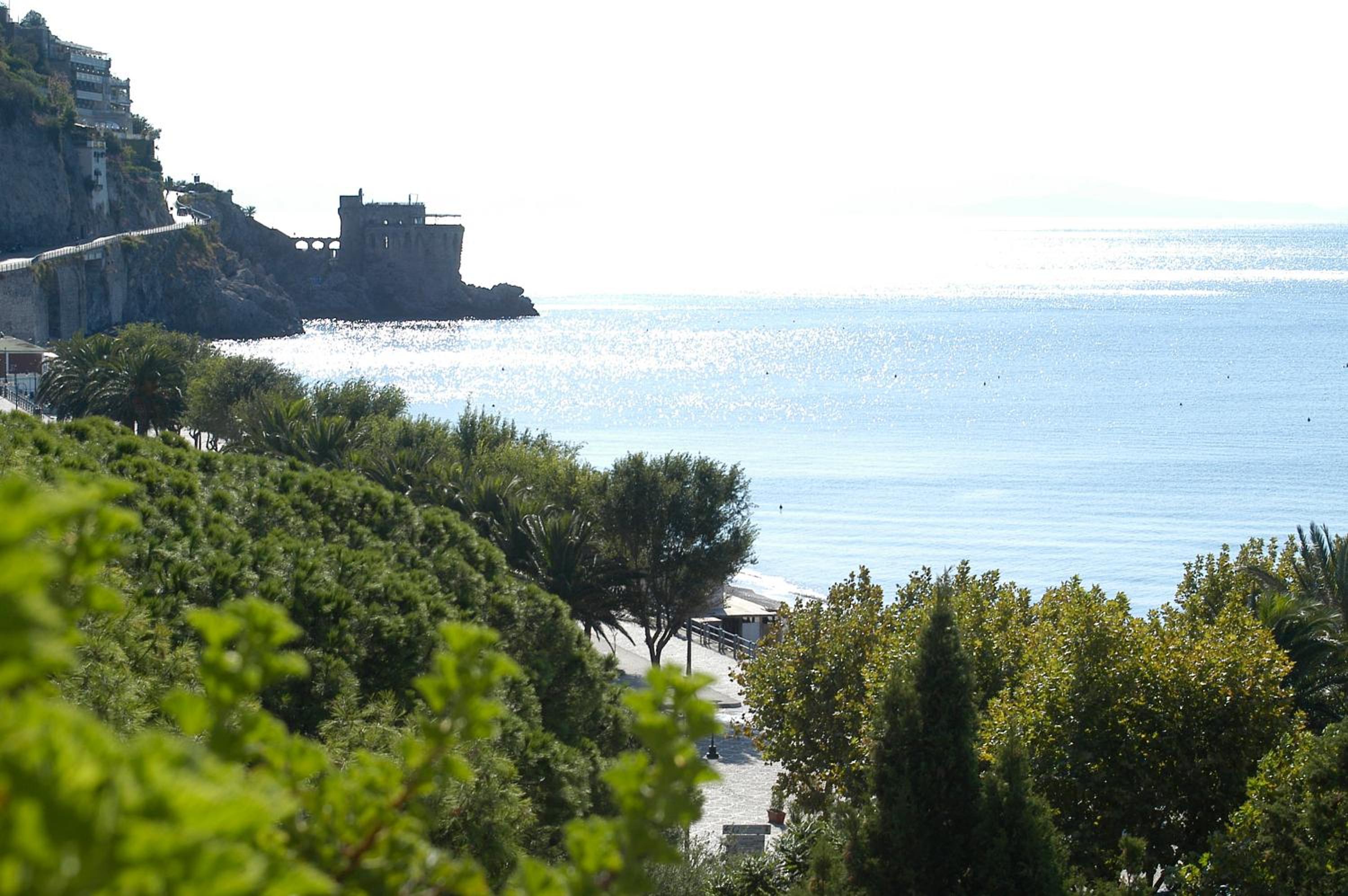 Photo 45