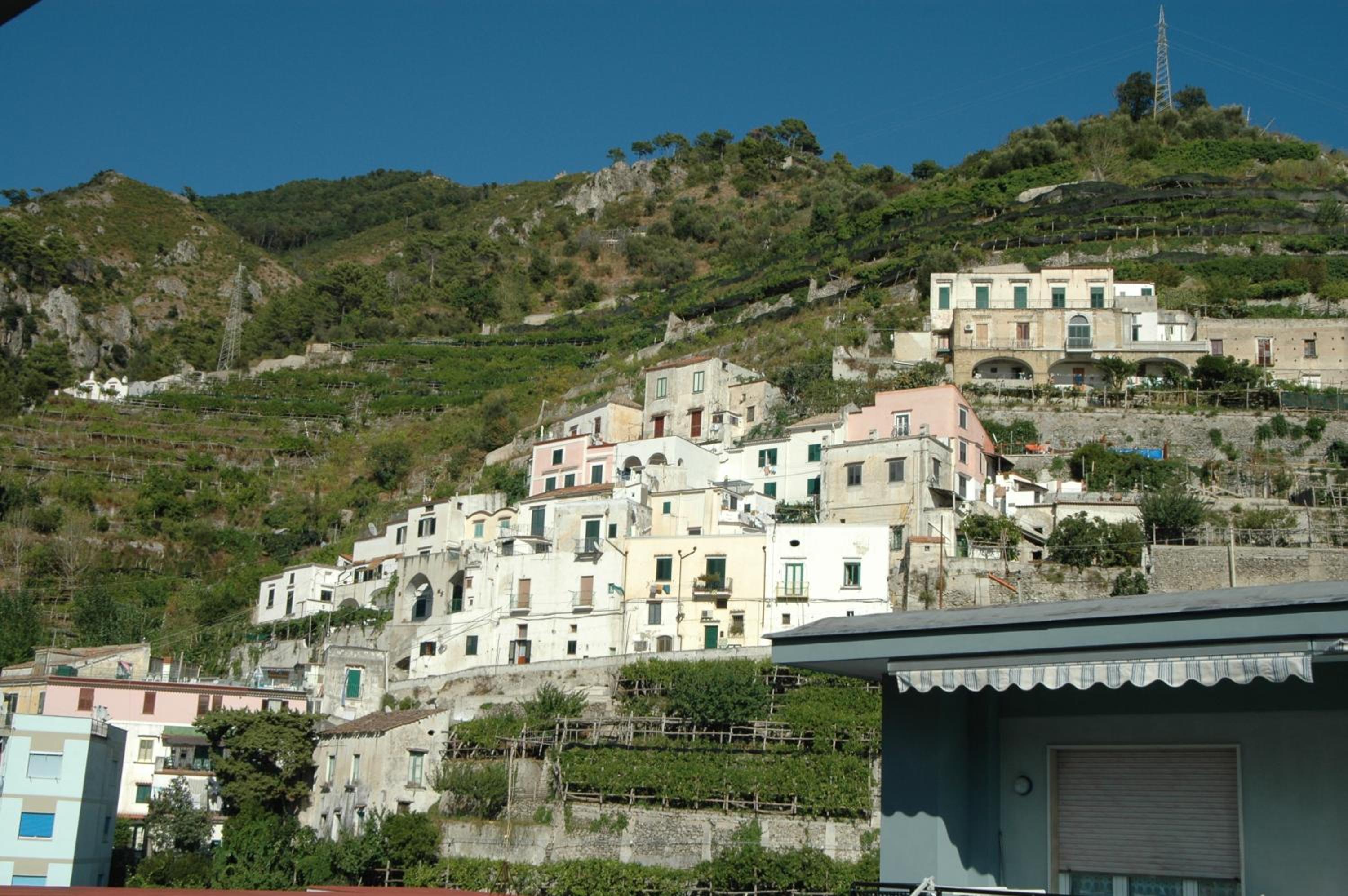 Photo 47