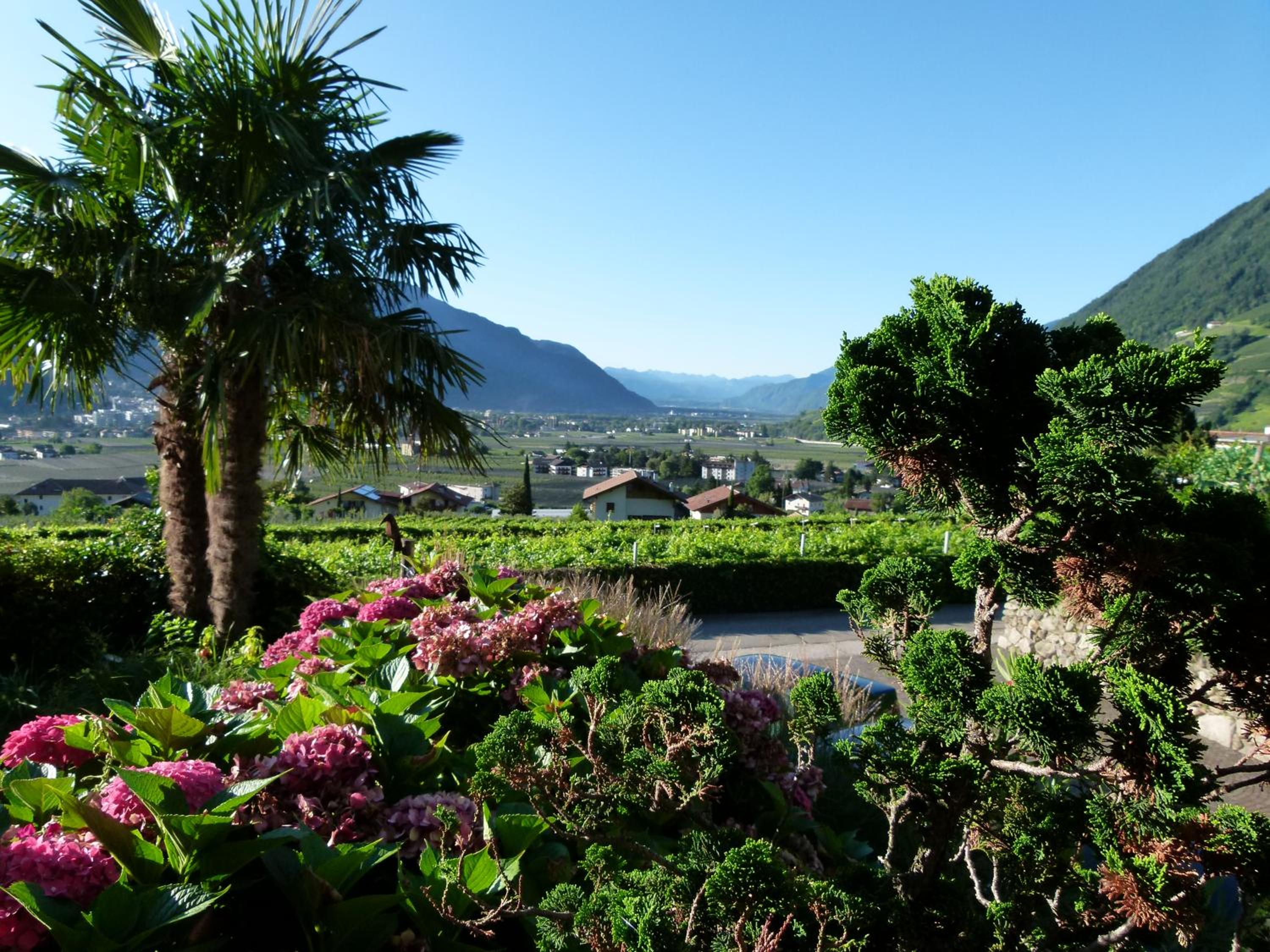 Pension Hauenstein view 2