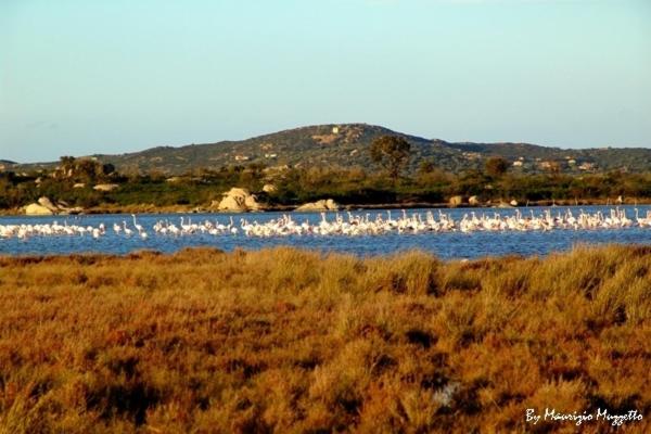 Agriturismo Li Scopi