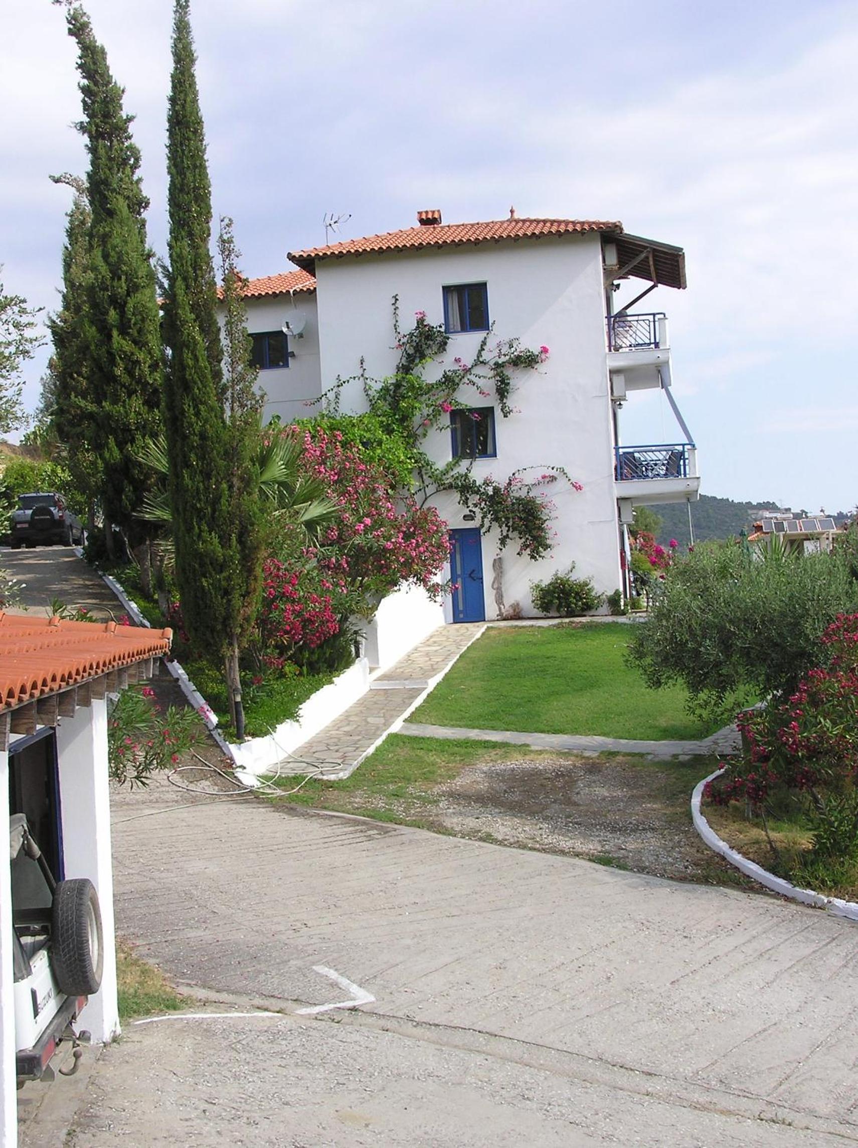 Photo 12