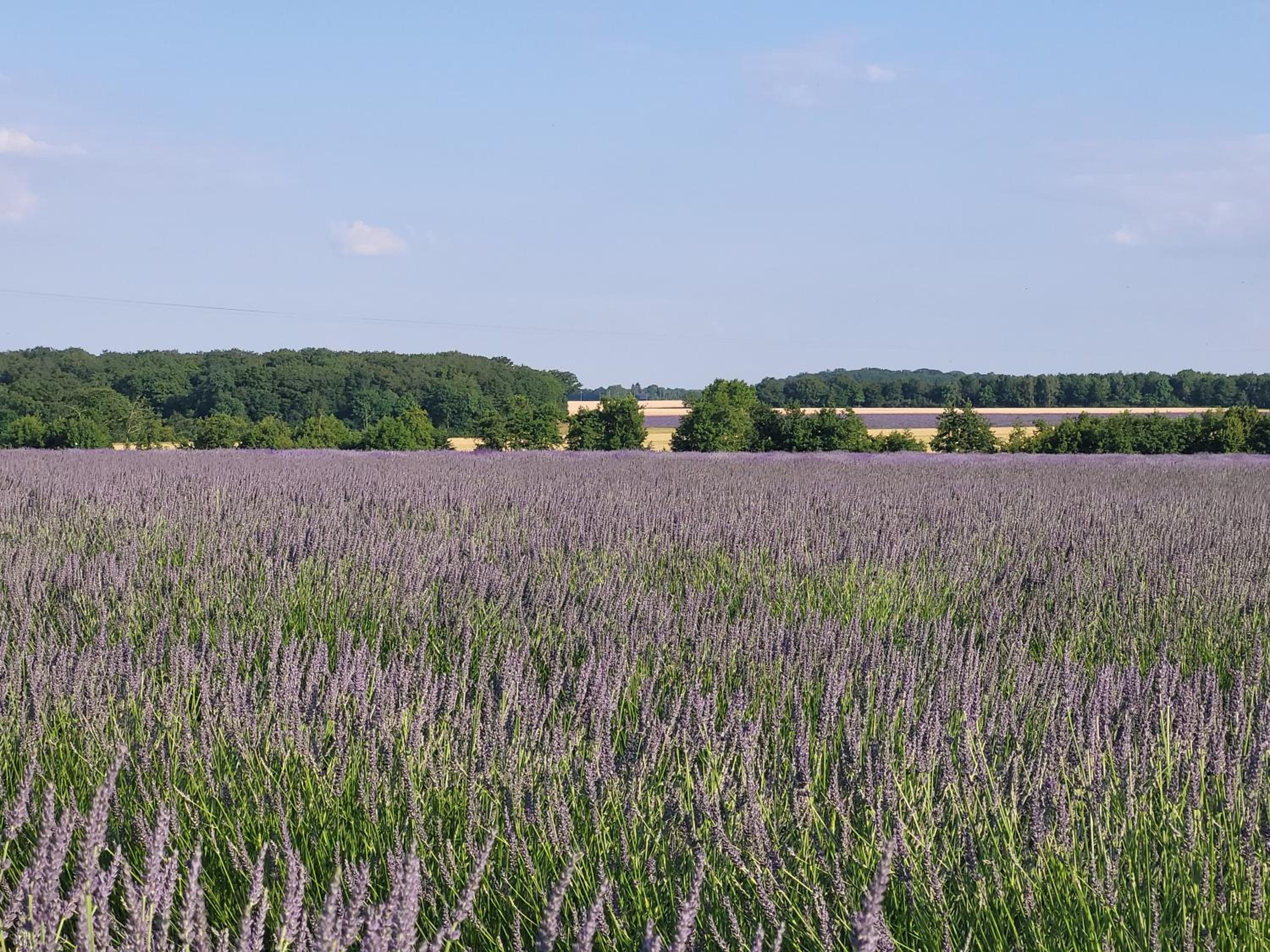 Le Clos de la Montignoise - Chambres d'Hôtes avec SPA PRIVATIF