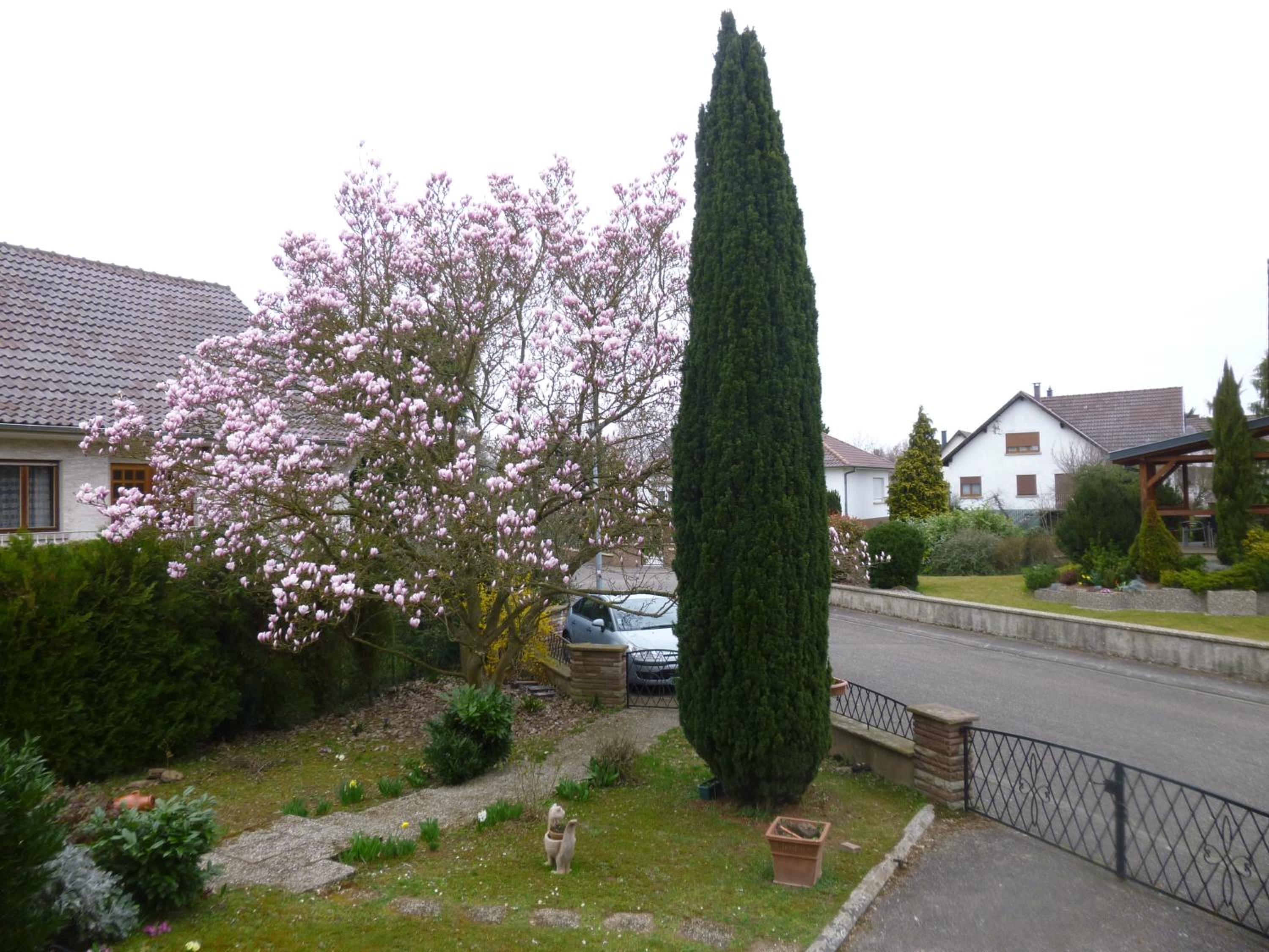 Jardin Fleuri view 3