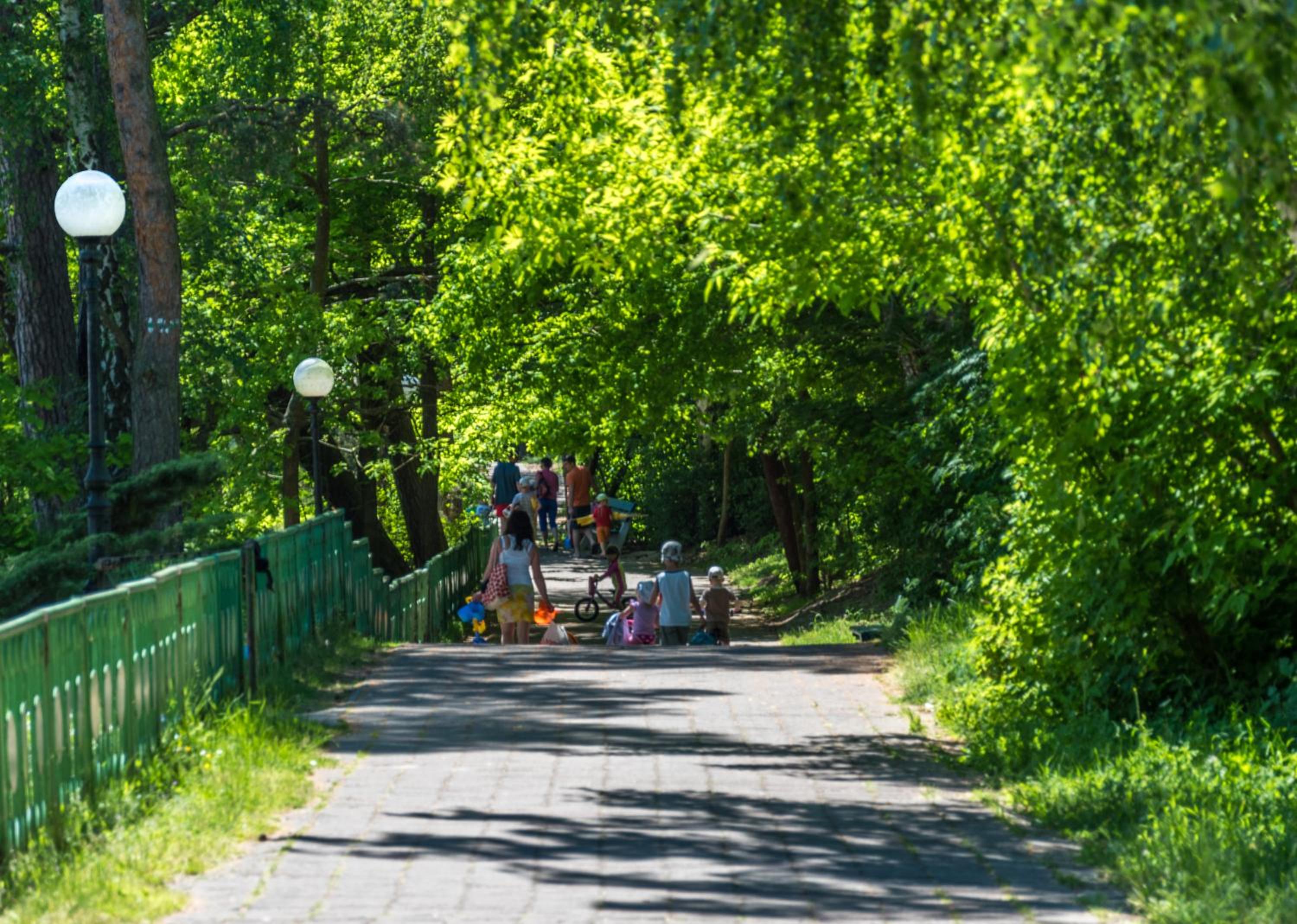 Photo 63