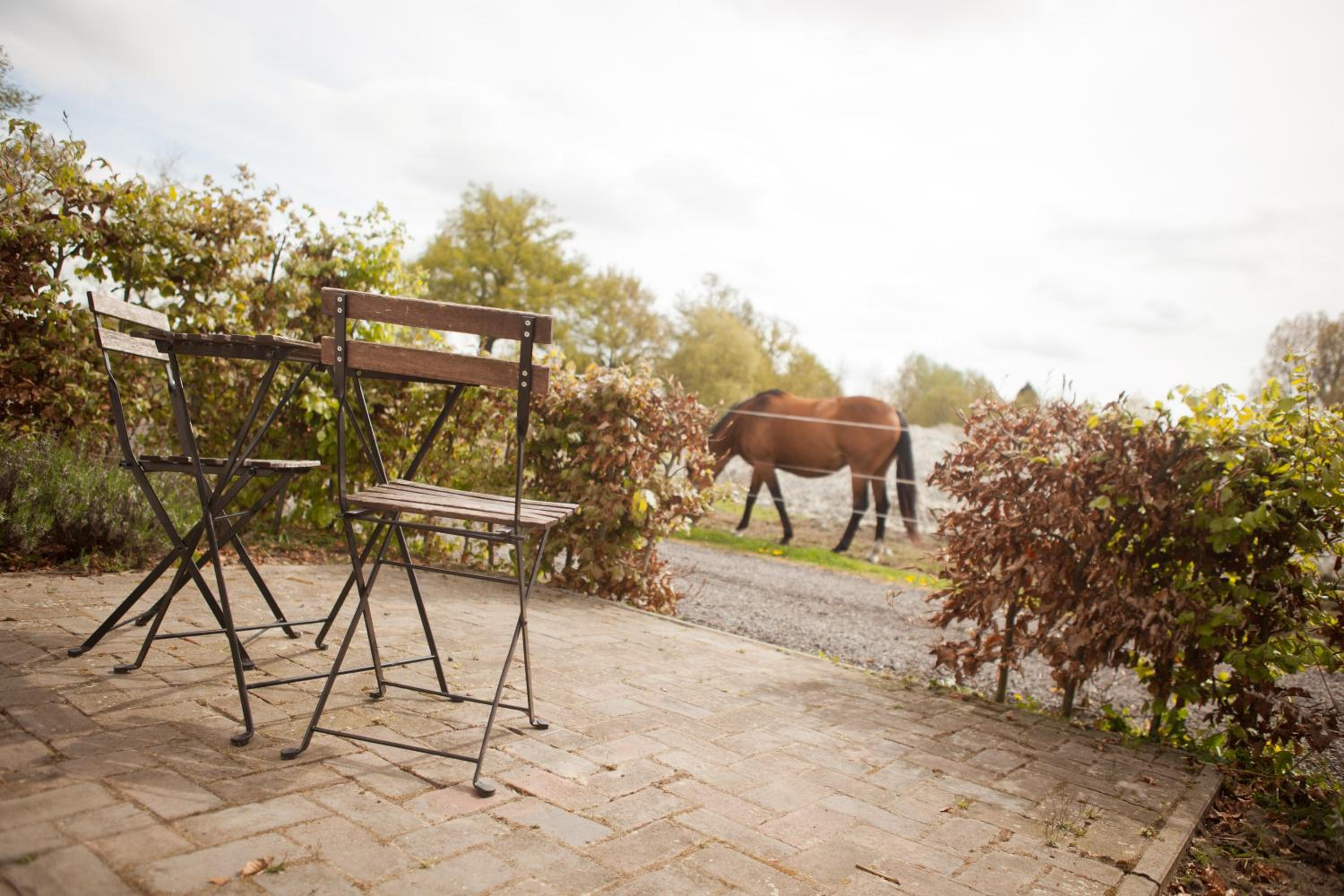 Bed & Breakfast de Bimd Hoeve view 2