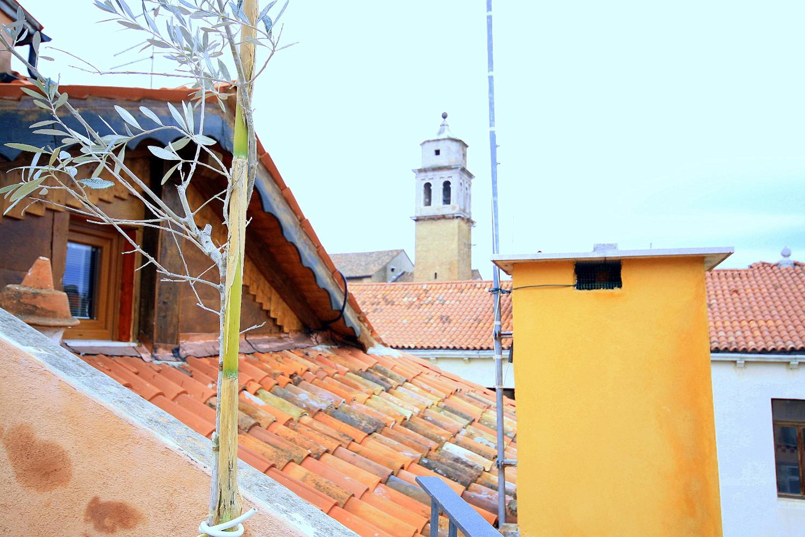 roof