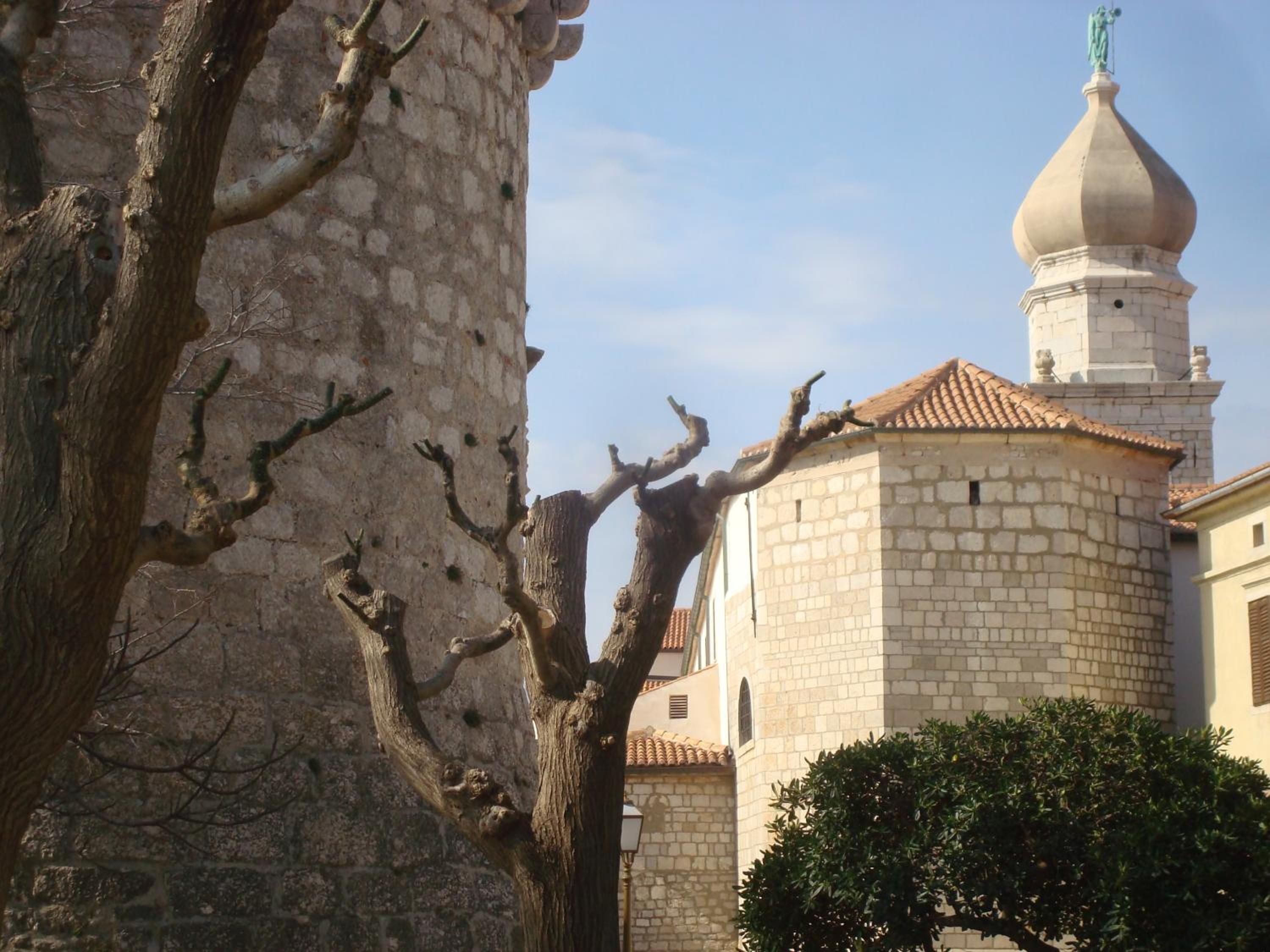 Photo 40