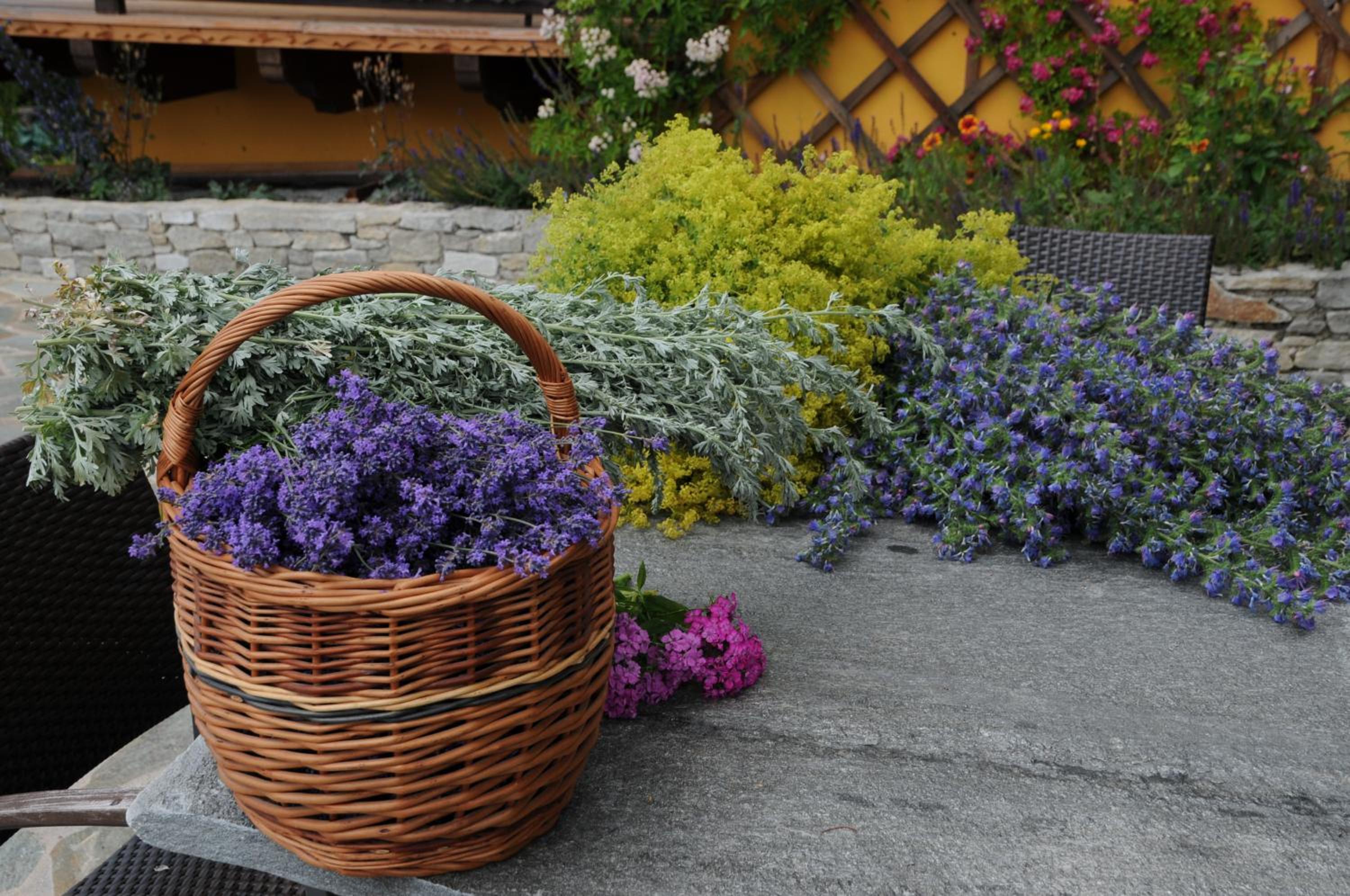 Sulamith Ferienhaus mit Garten