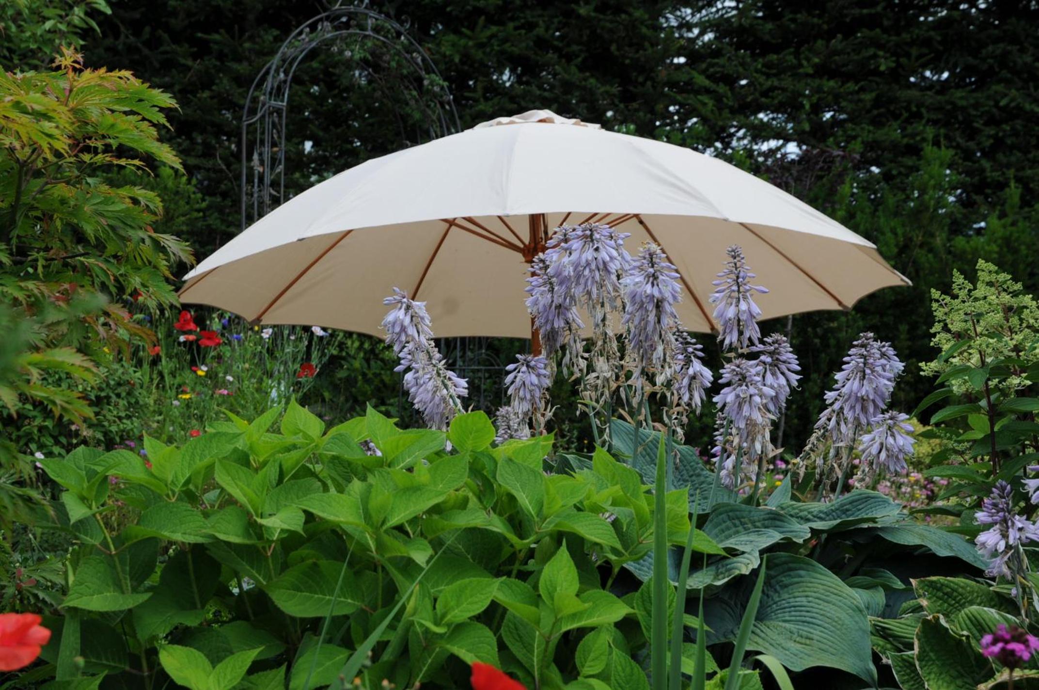 Sulamith Ferienhaus mit Garten
