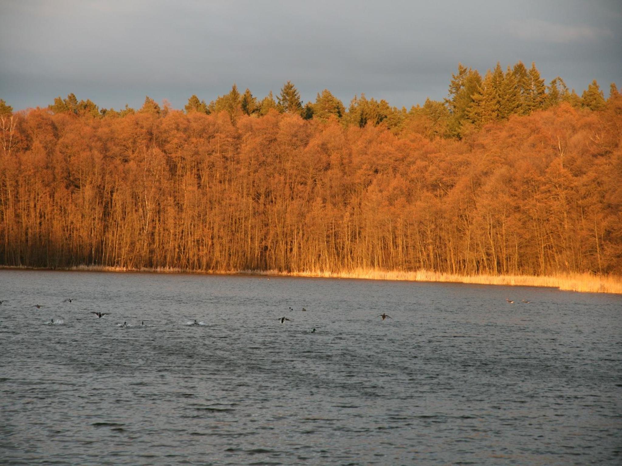 Pension & Gasthaus Kattenstieg