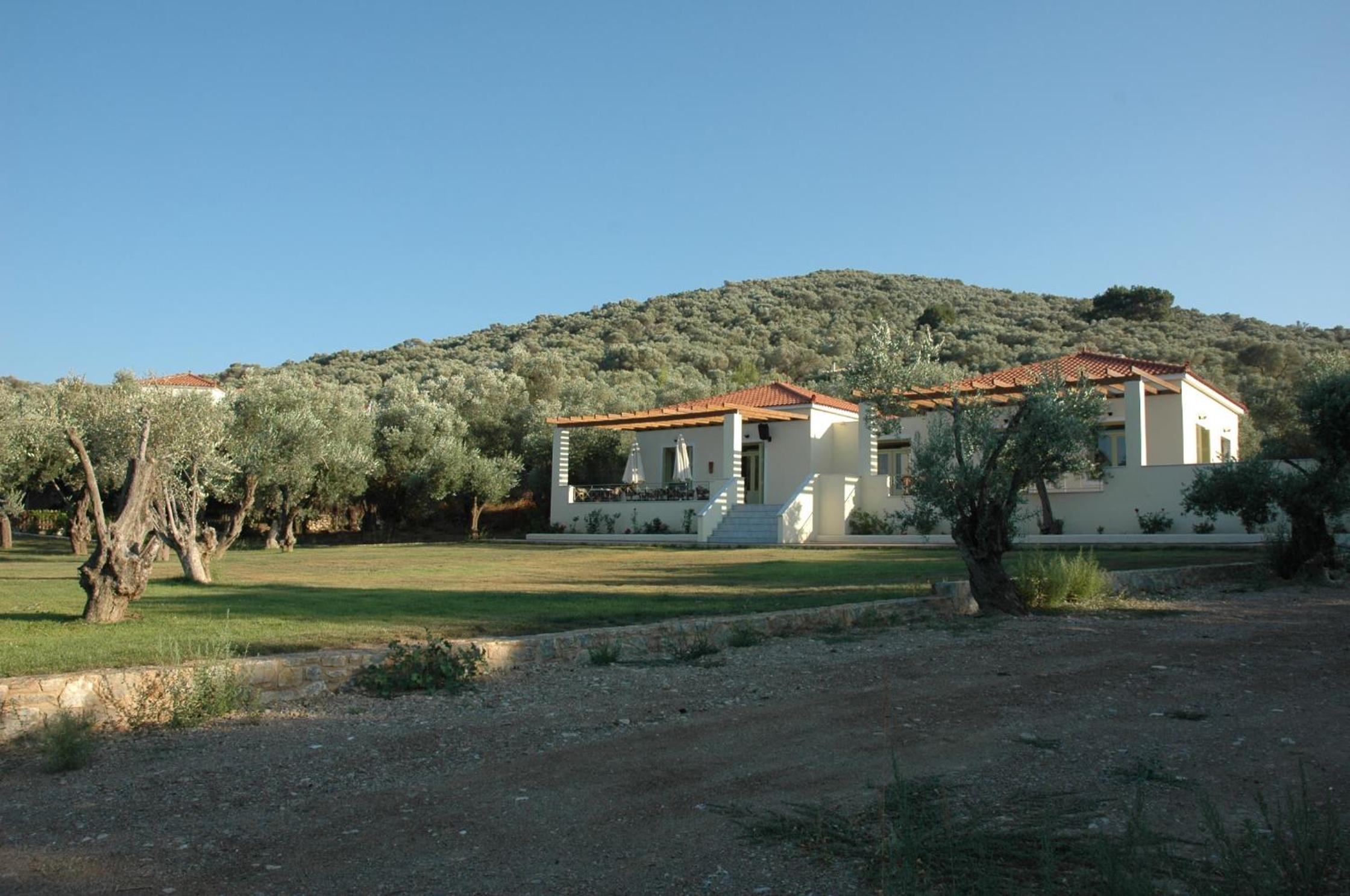 Photo 48