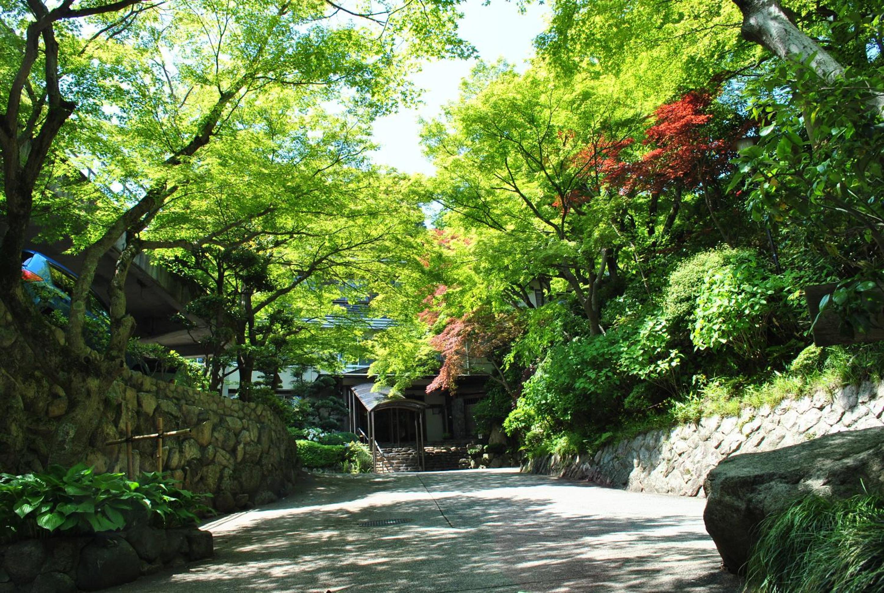 Negiya Ryofukaku, Kobe - 13