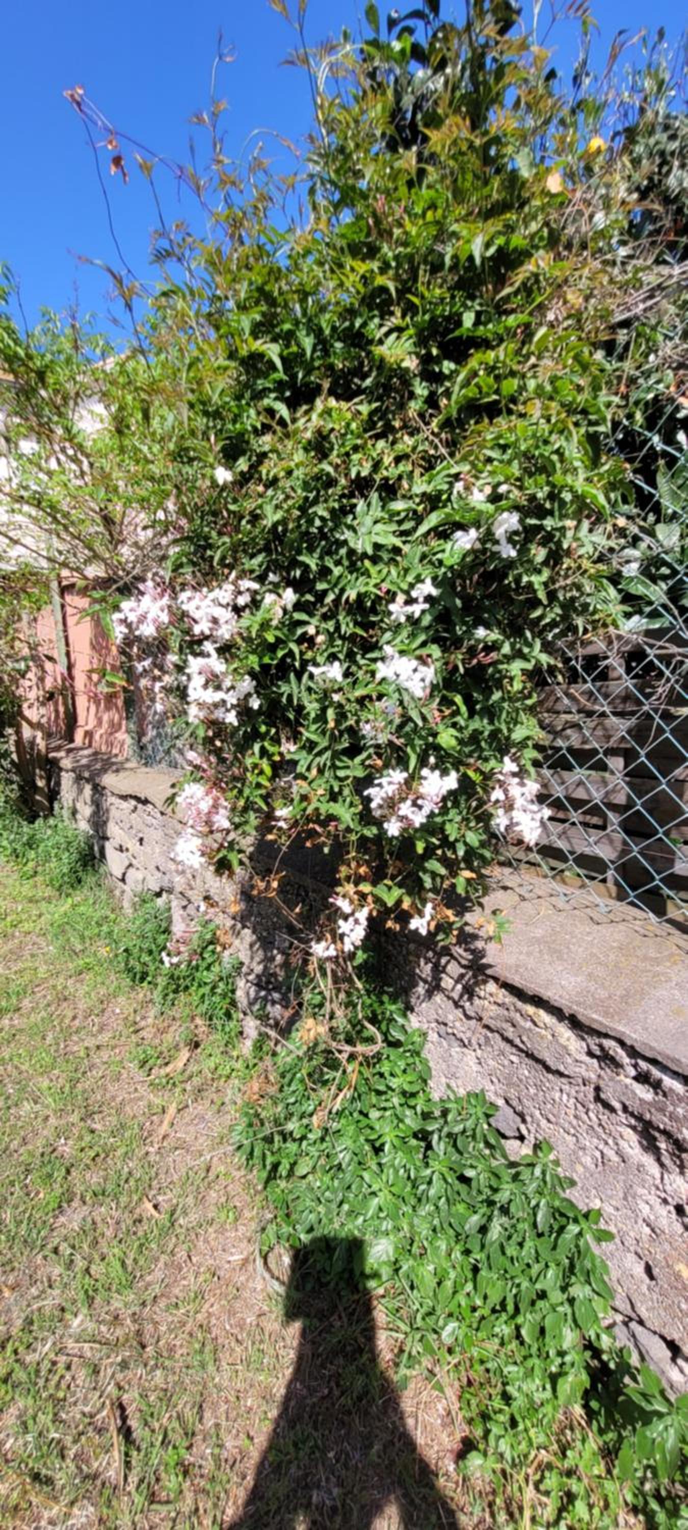 Chez Régine, photo 21