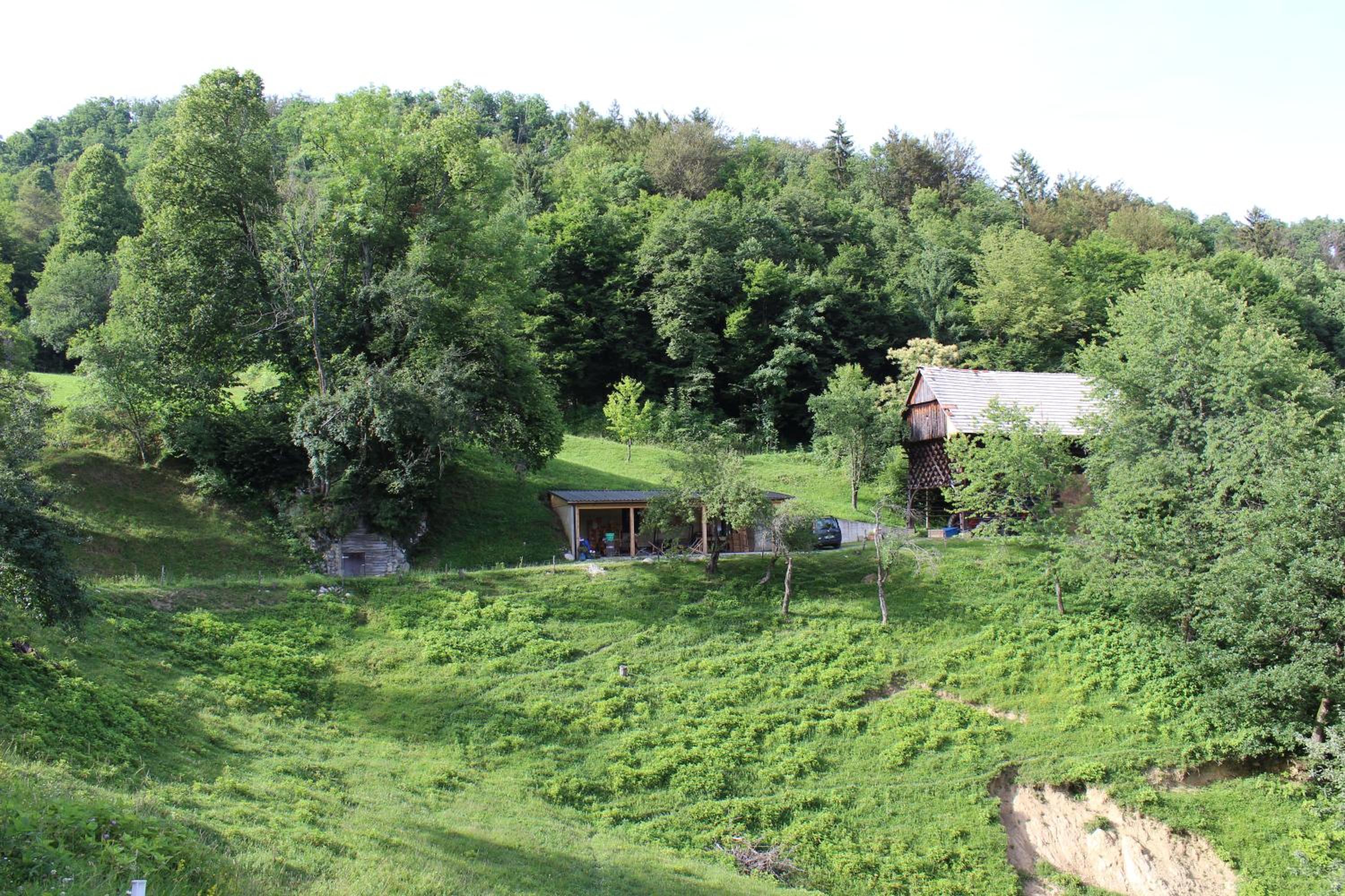Glamping Zeleni raj Vače