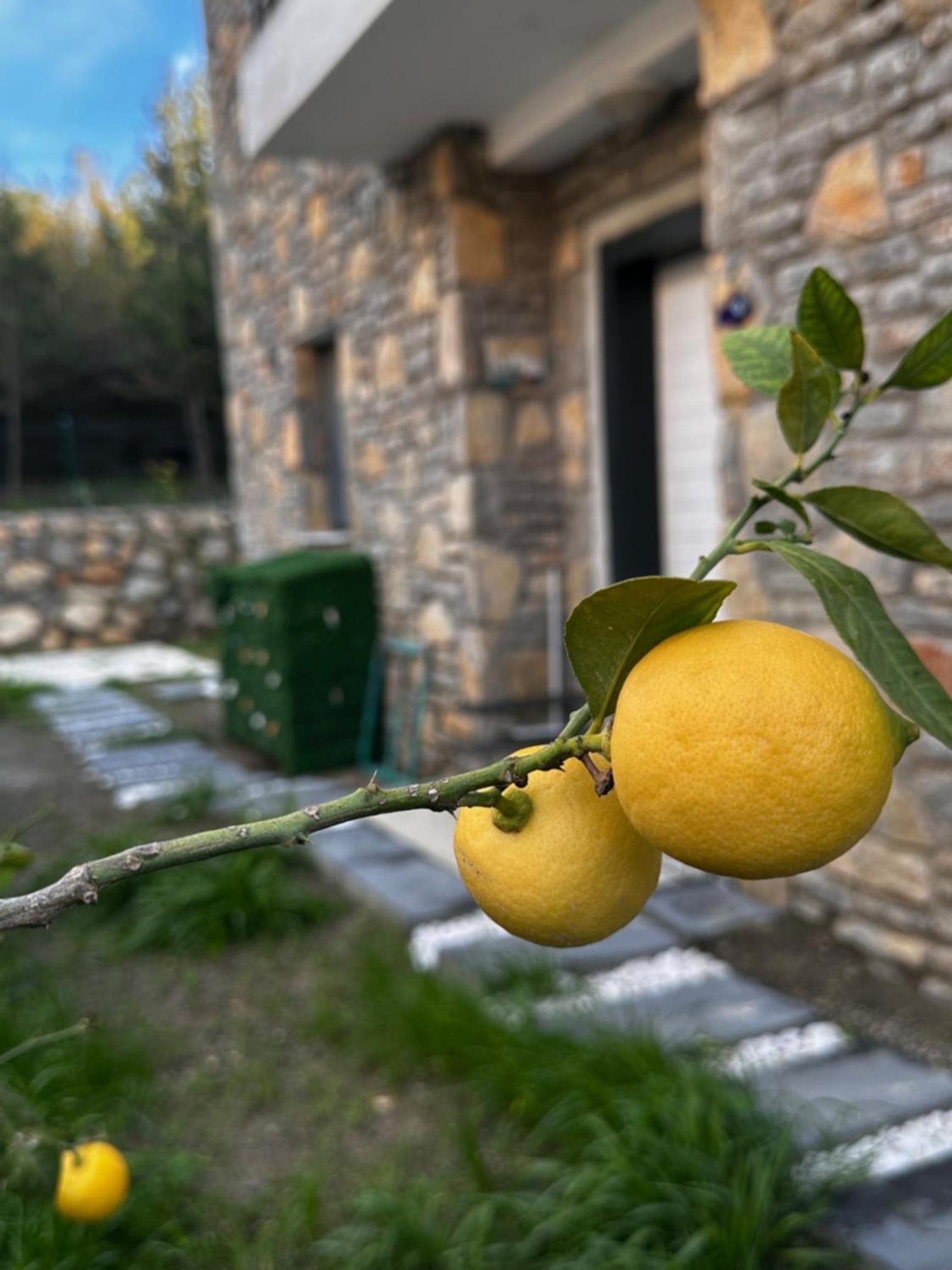 Villa Carian Trail evdatca - Datca Kargi Bay, Close to Beach