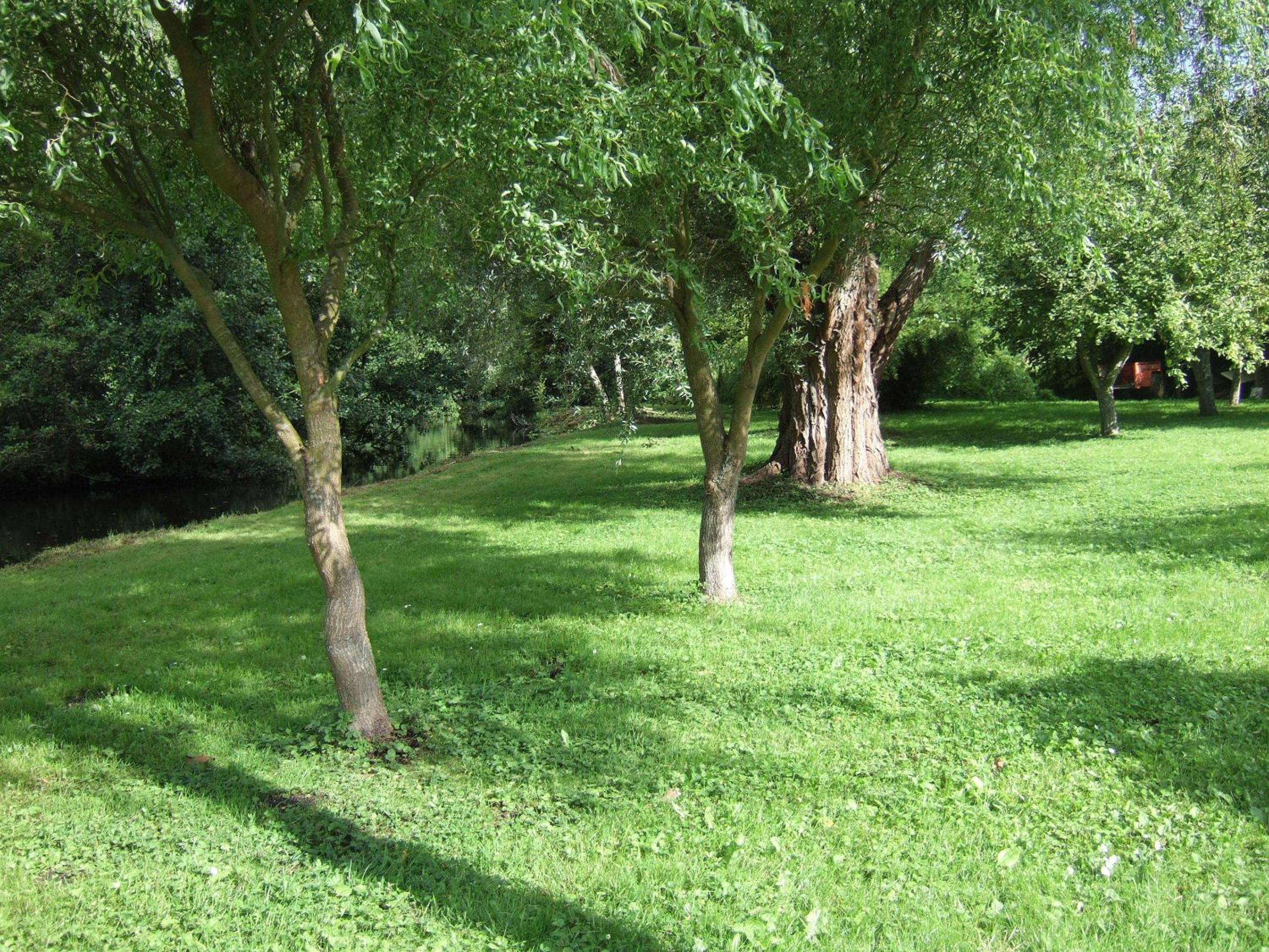 Photo 36