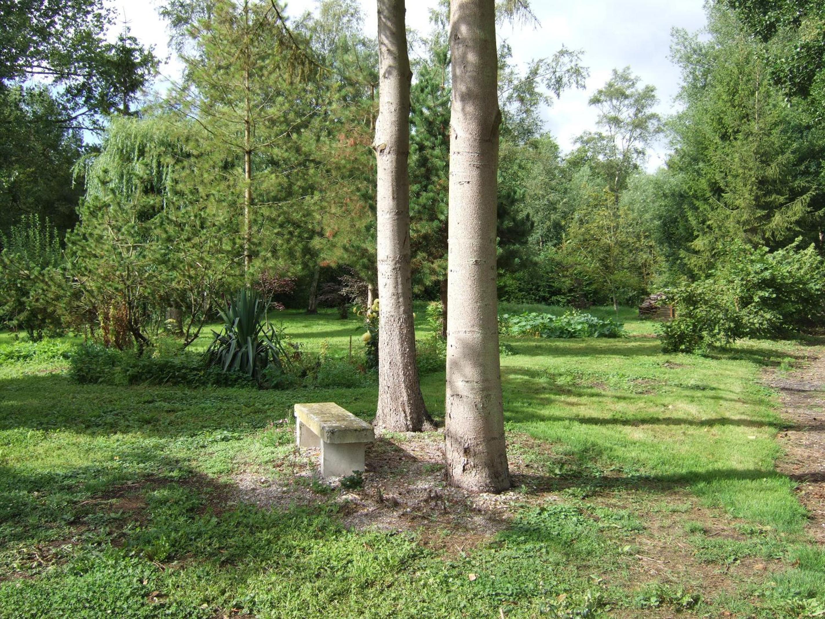 Photo 18