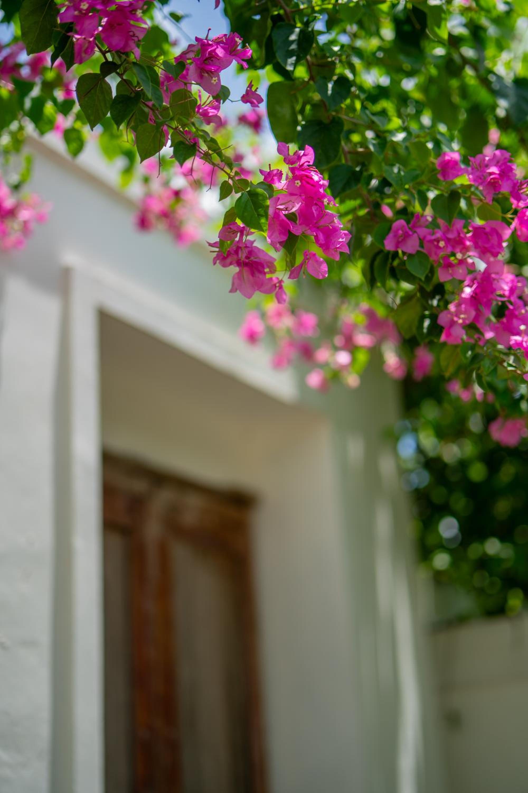 Villa Meli Canggu - By Bali Lyfe Venture