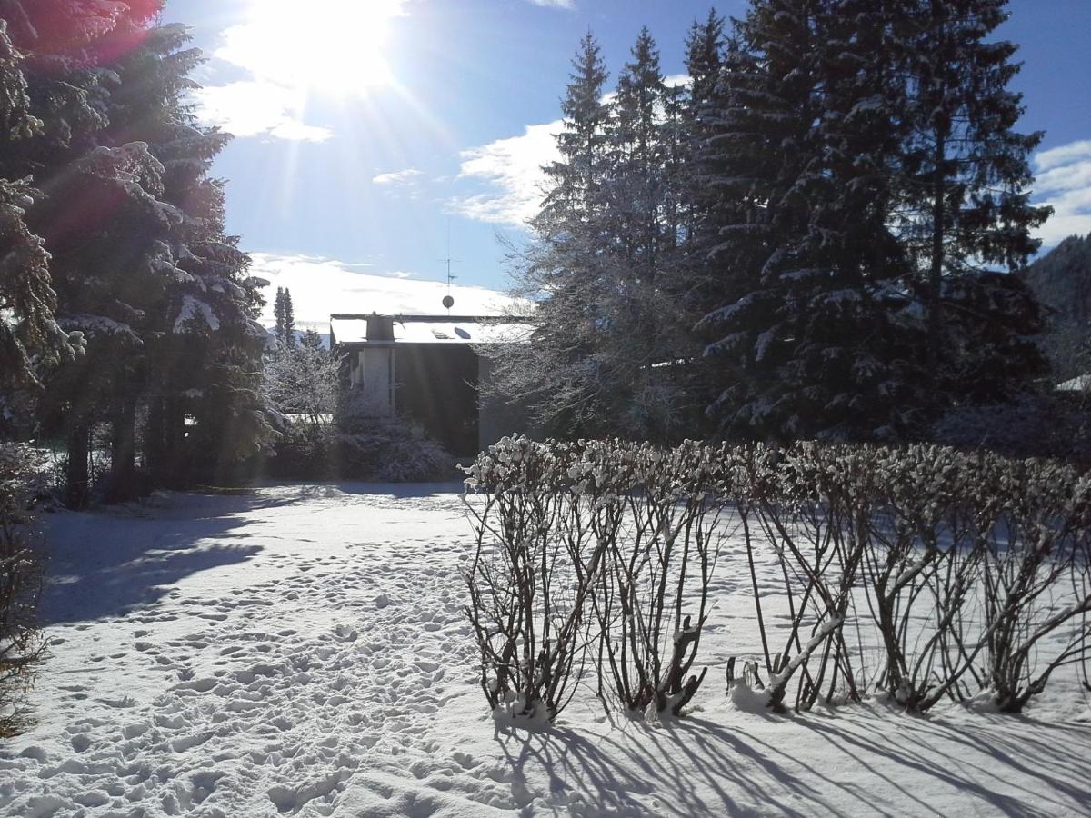 Haus Föhrenwald Ferienwohnung Mundeblick