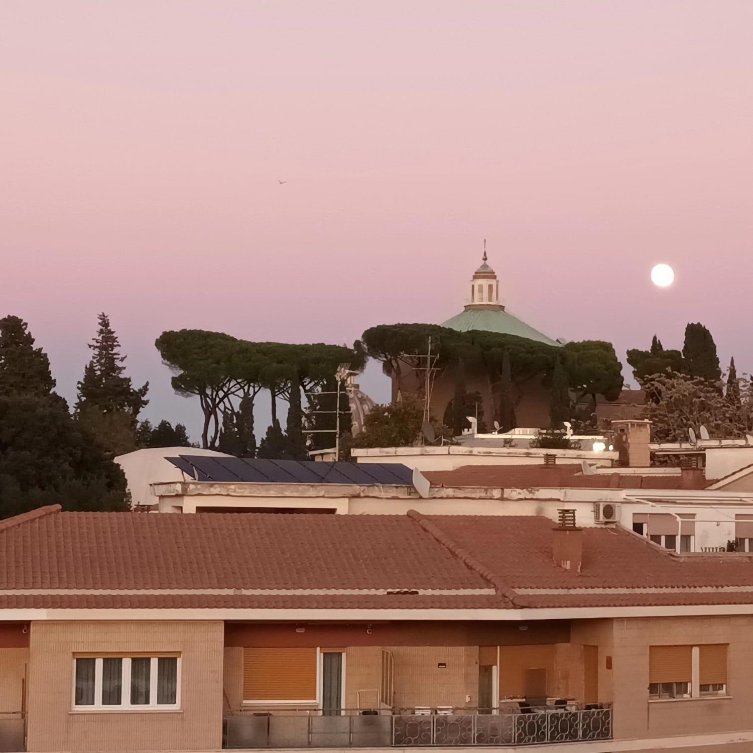 Vatican Giorgi