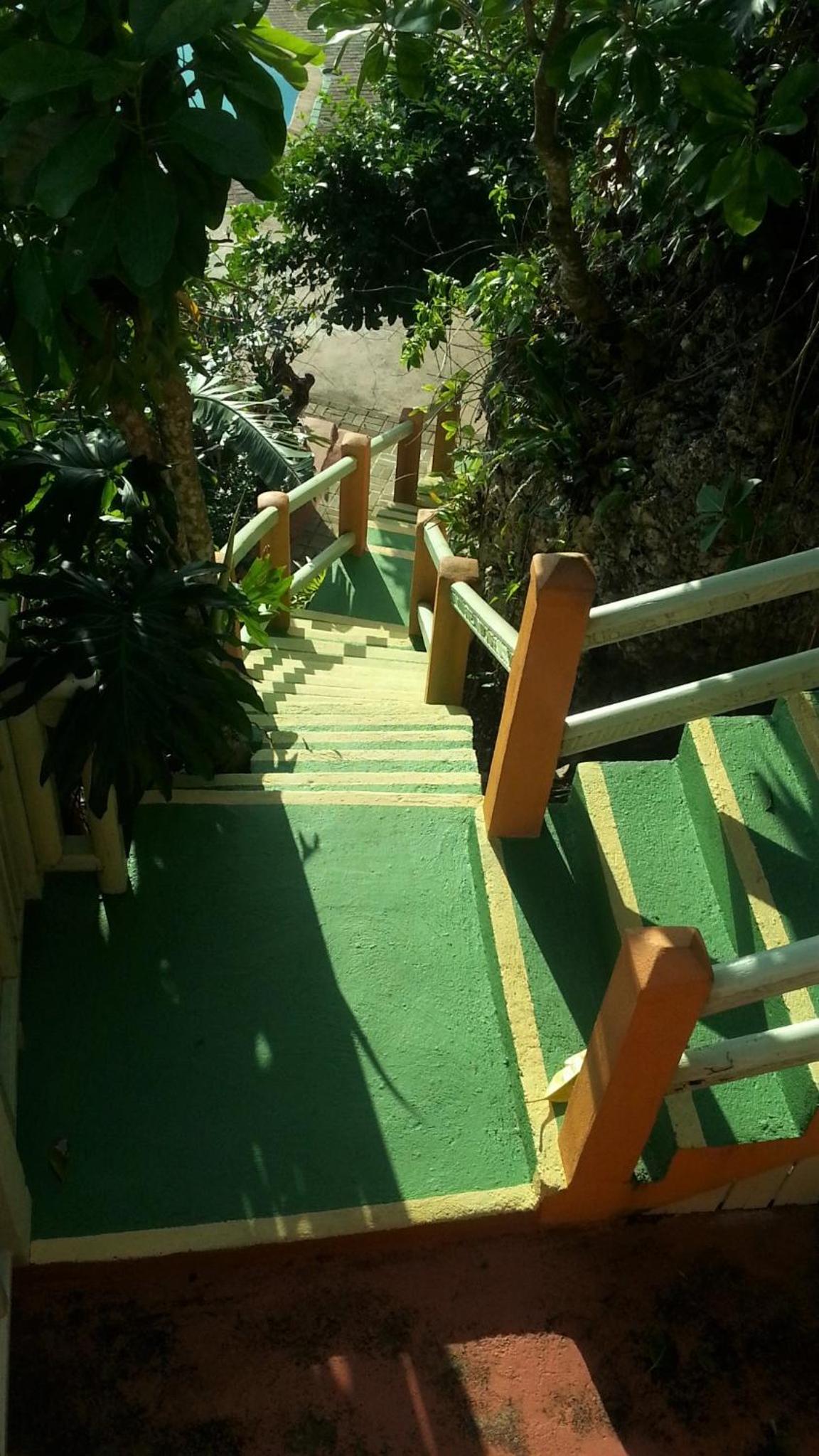 Pimento Lodge Resort