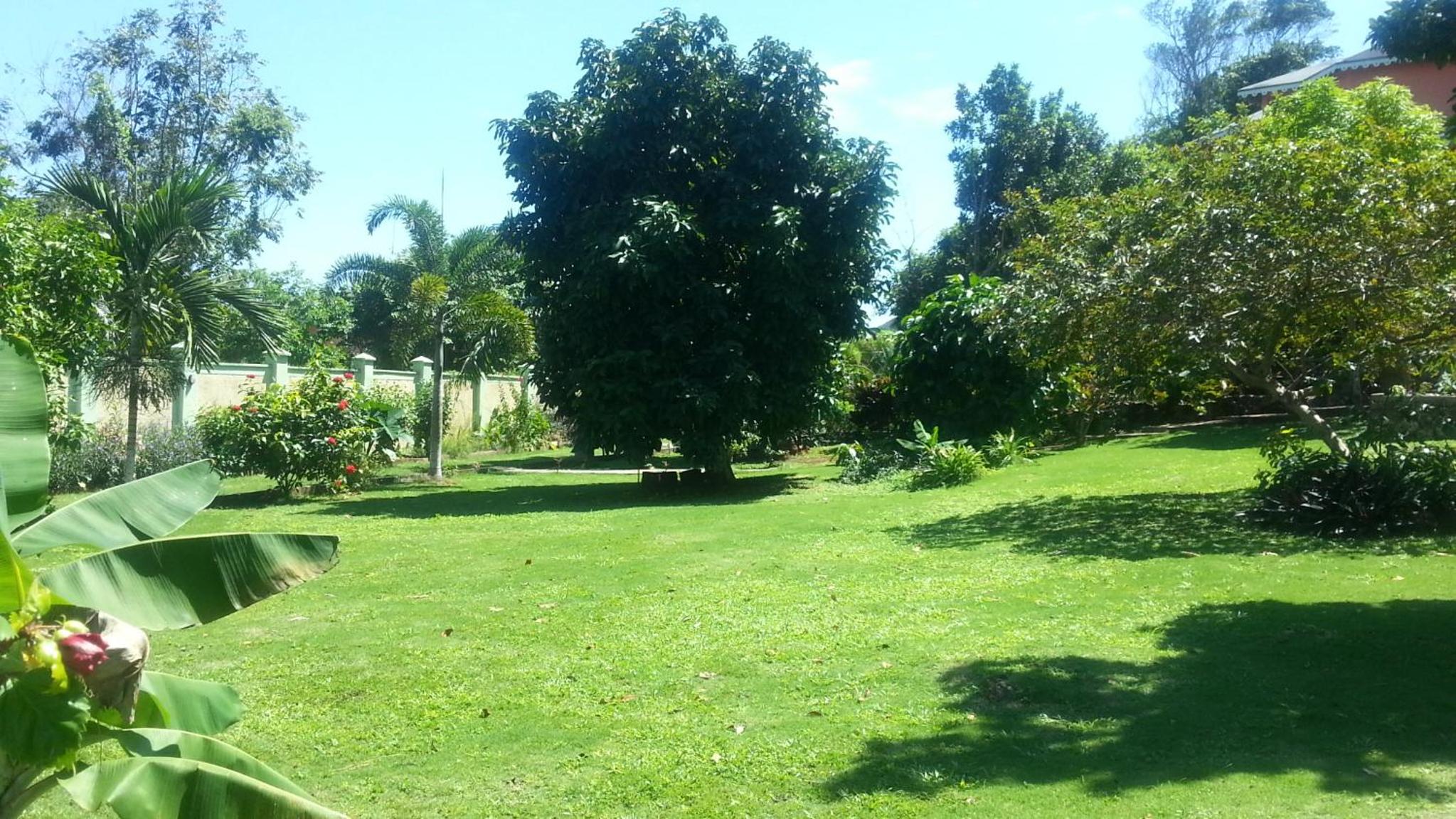 Pimento Lodge Resort