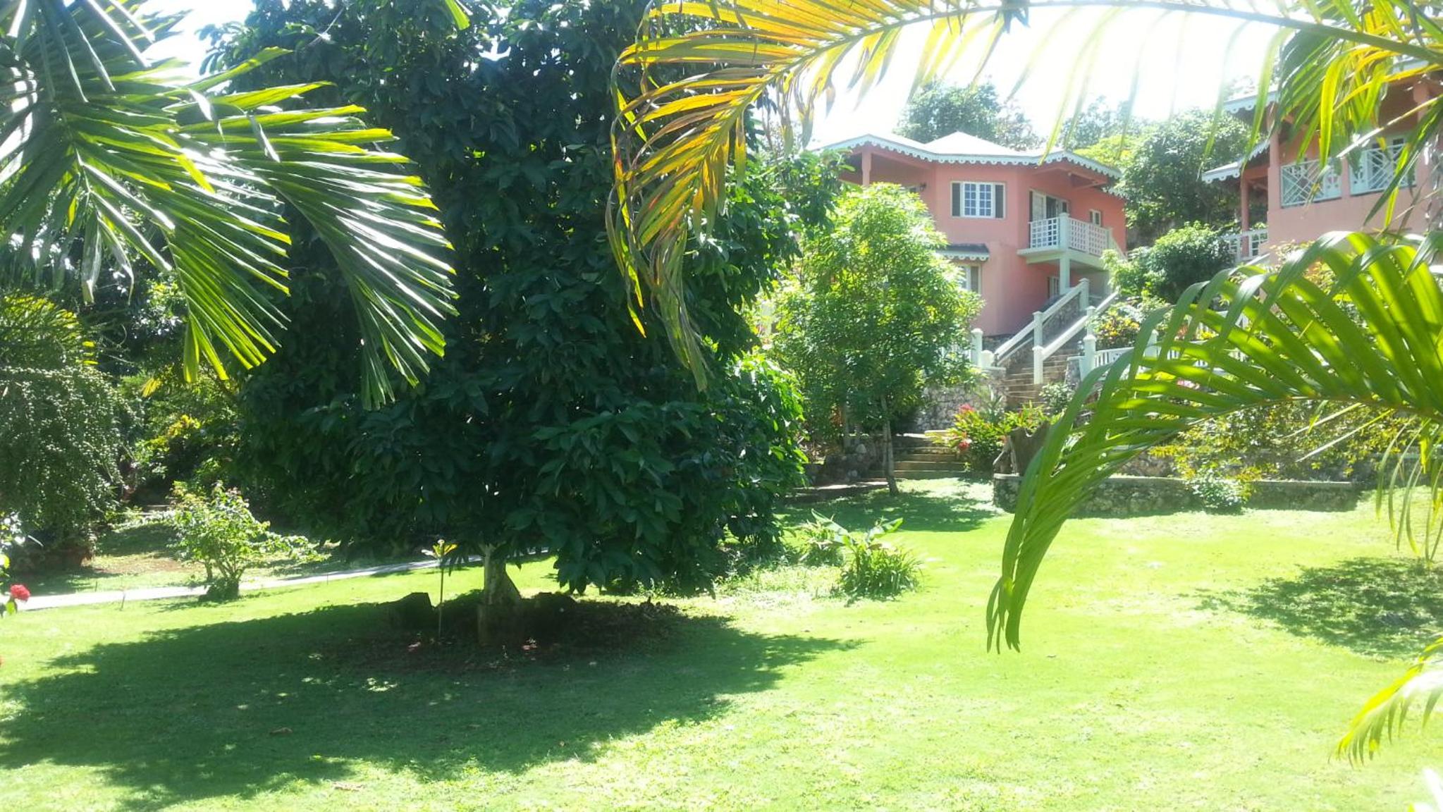 Pimento Lodge Resort