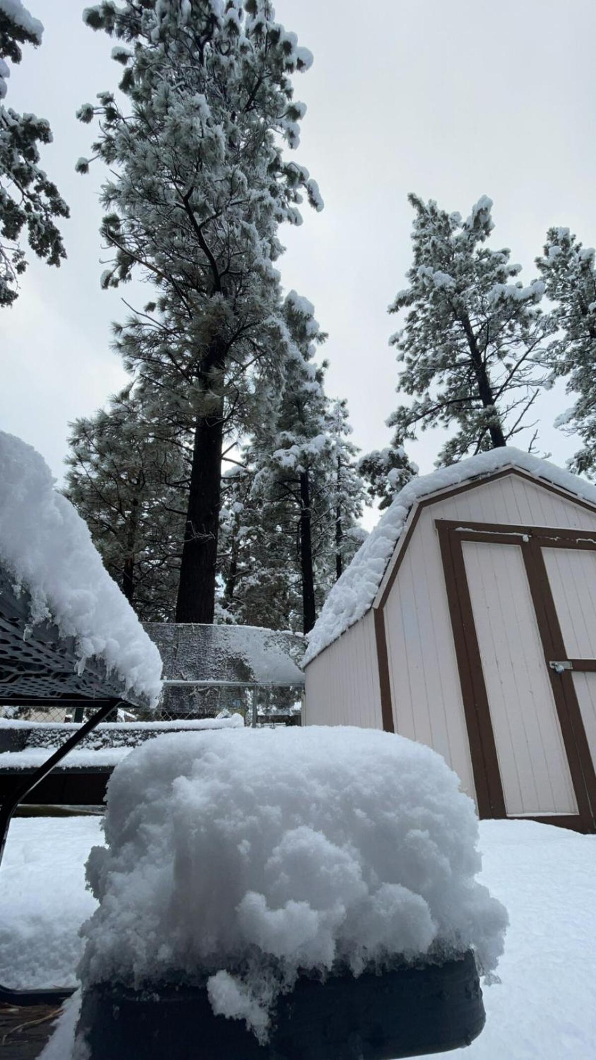 Comfy Modern Big Bear Cabin