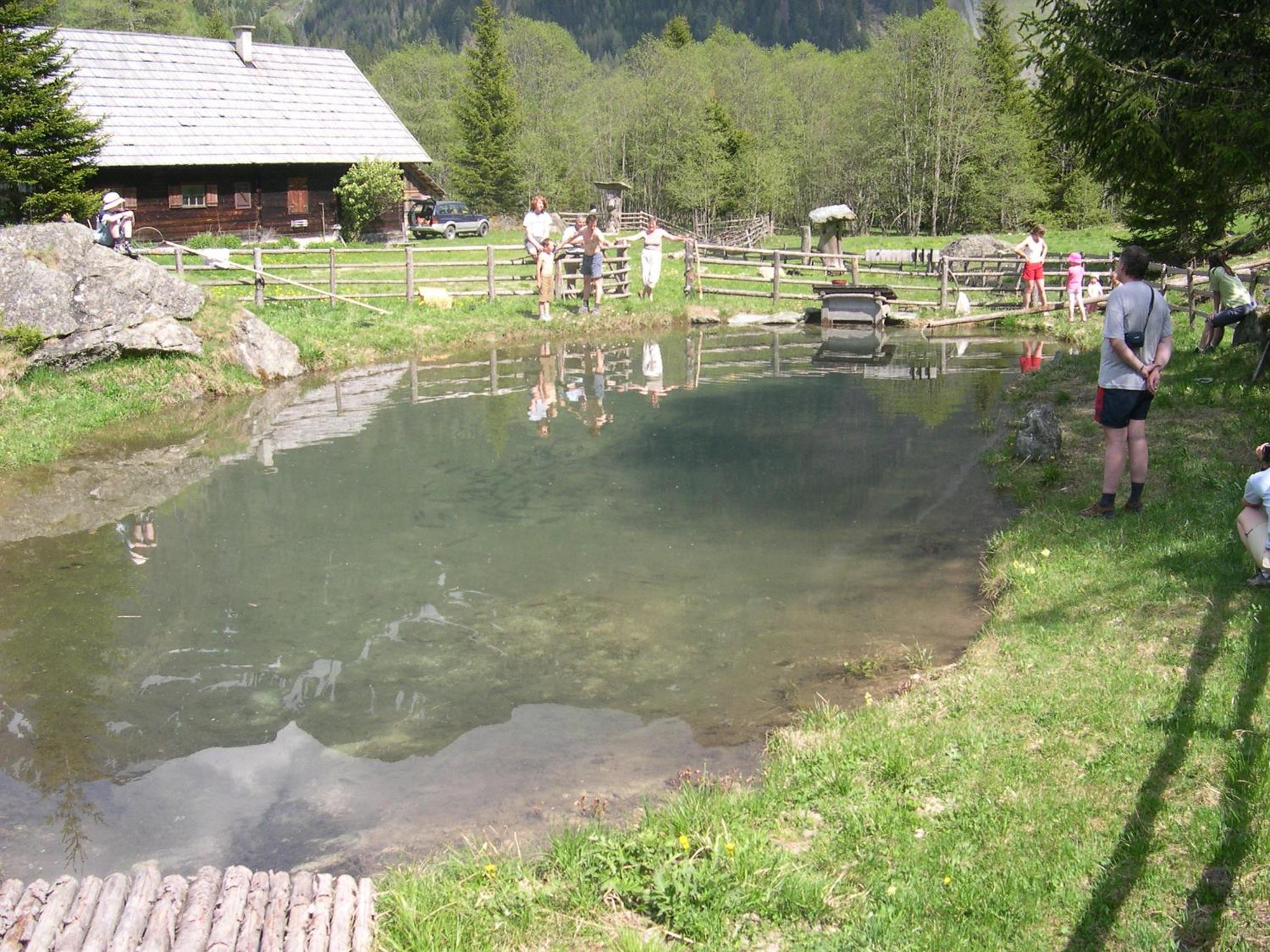 Dorfergut