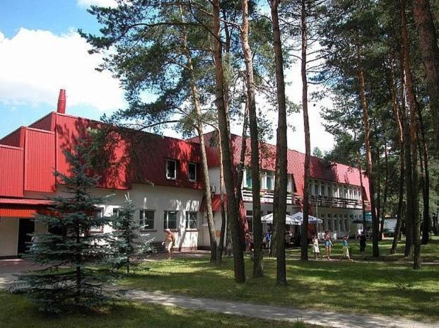 Photo 6