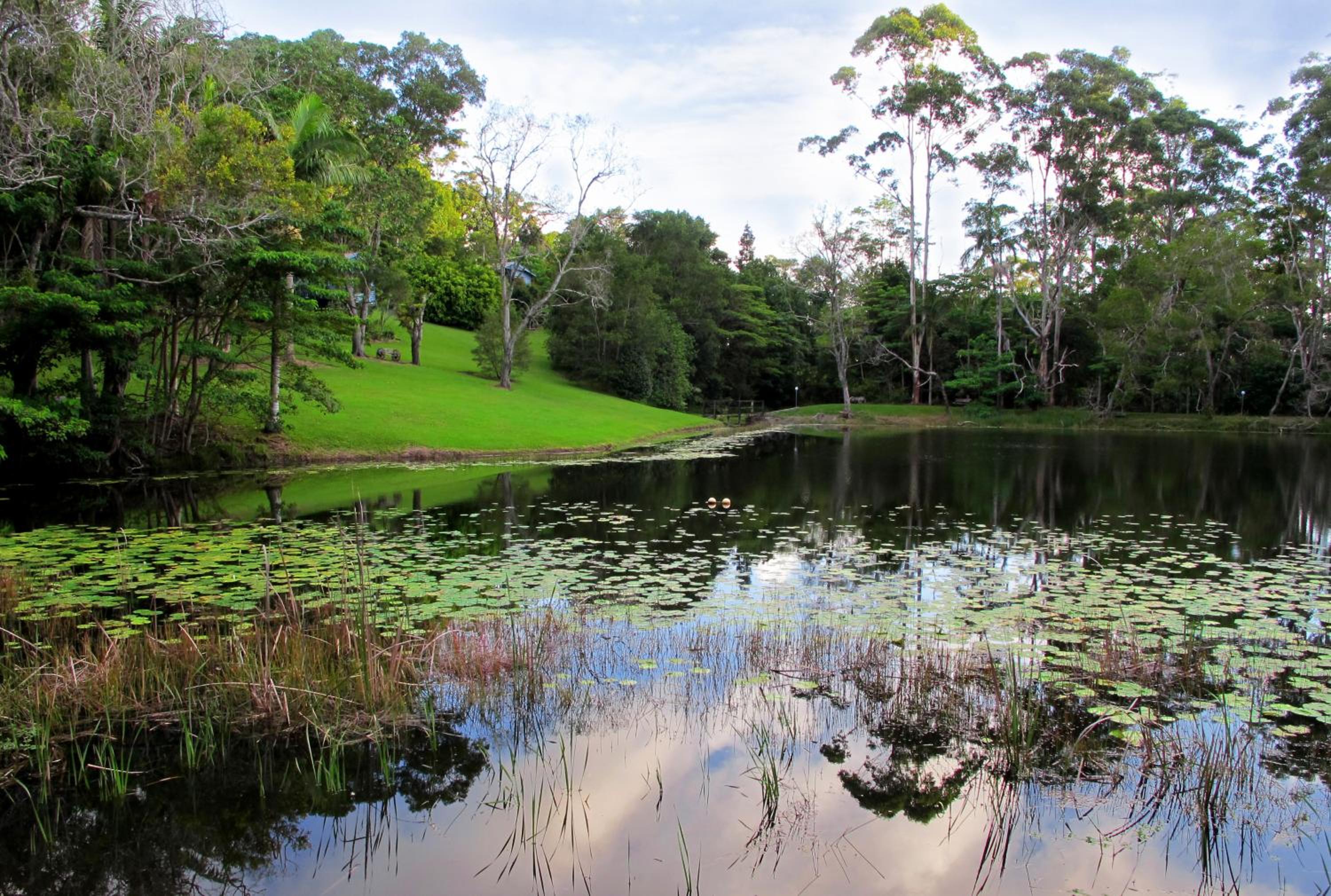 Montville Country Cabins