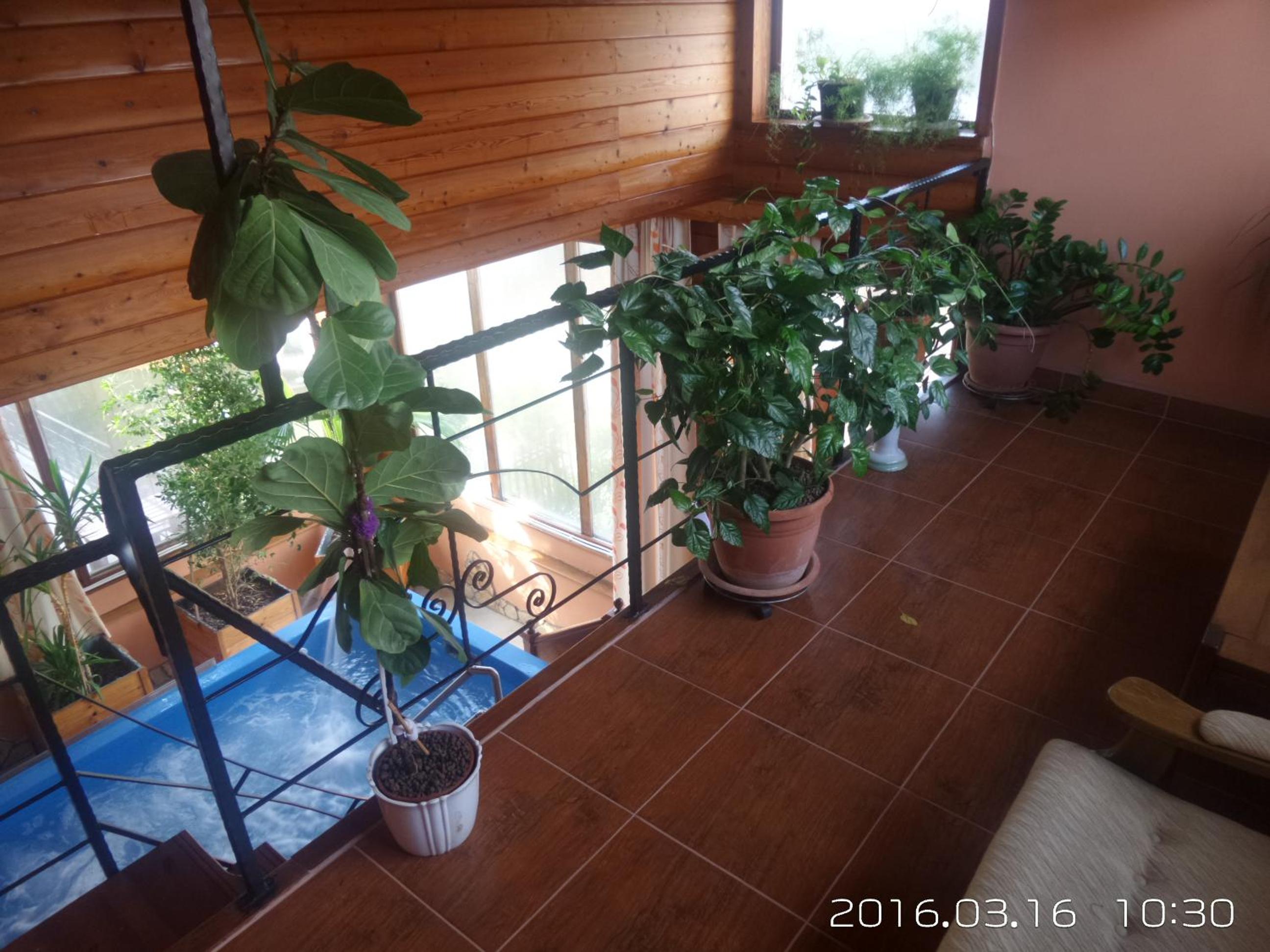 Photo 34