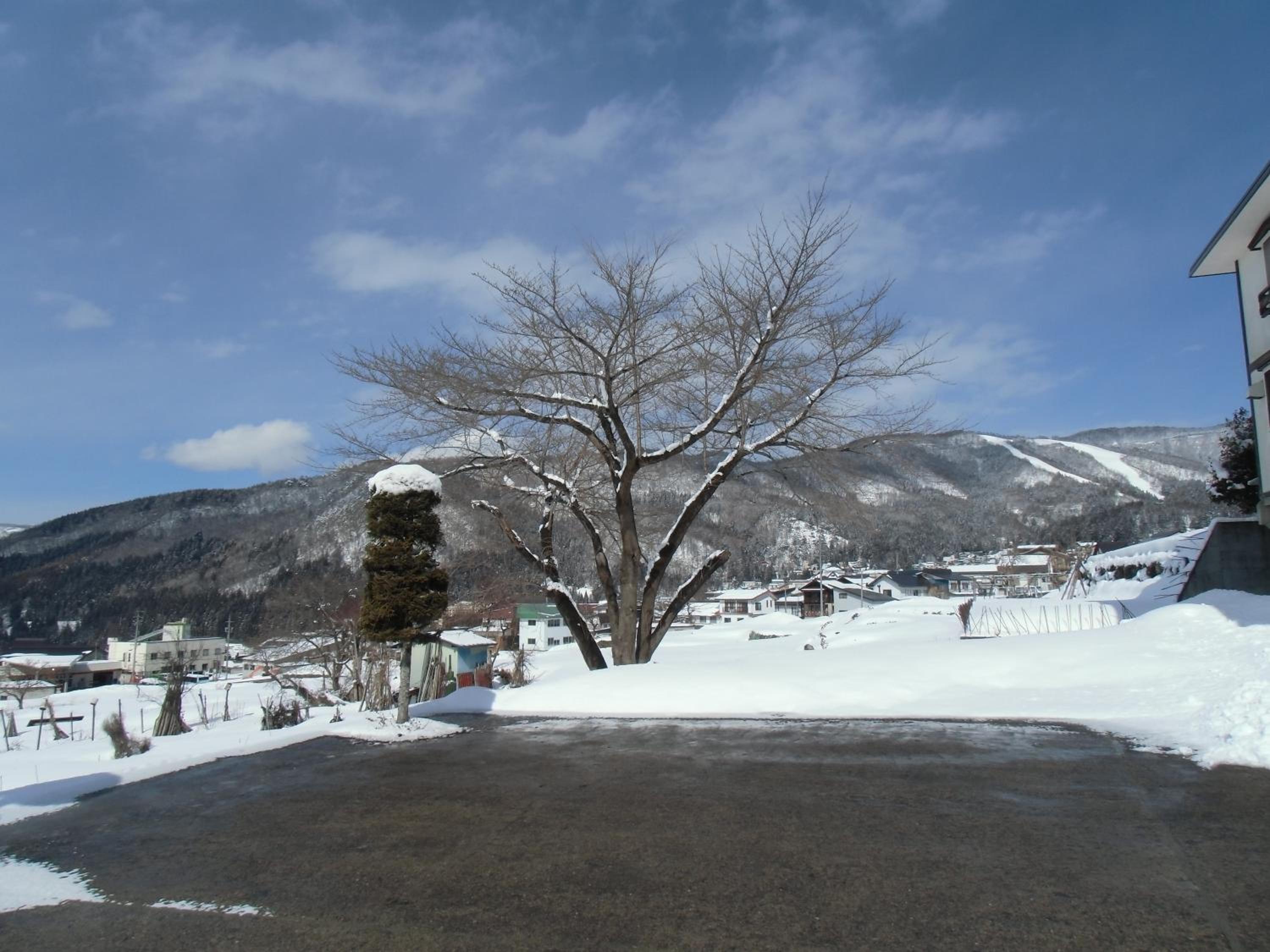 Photo 26