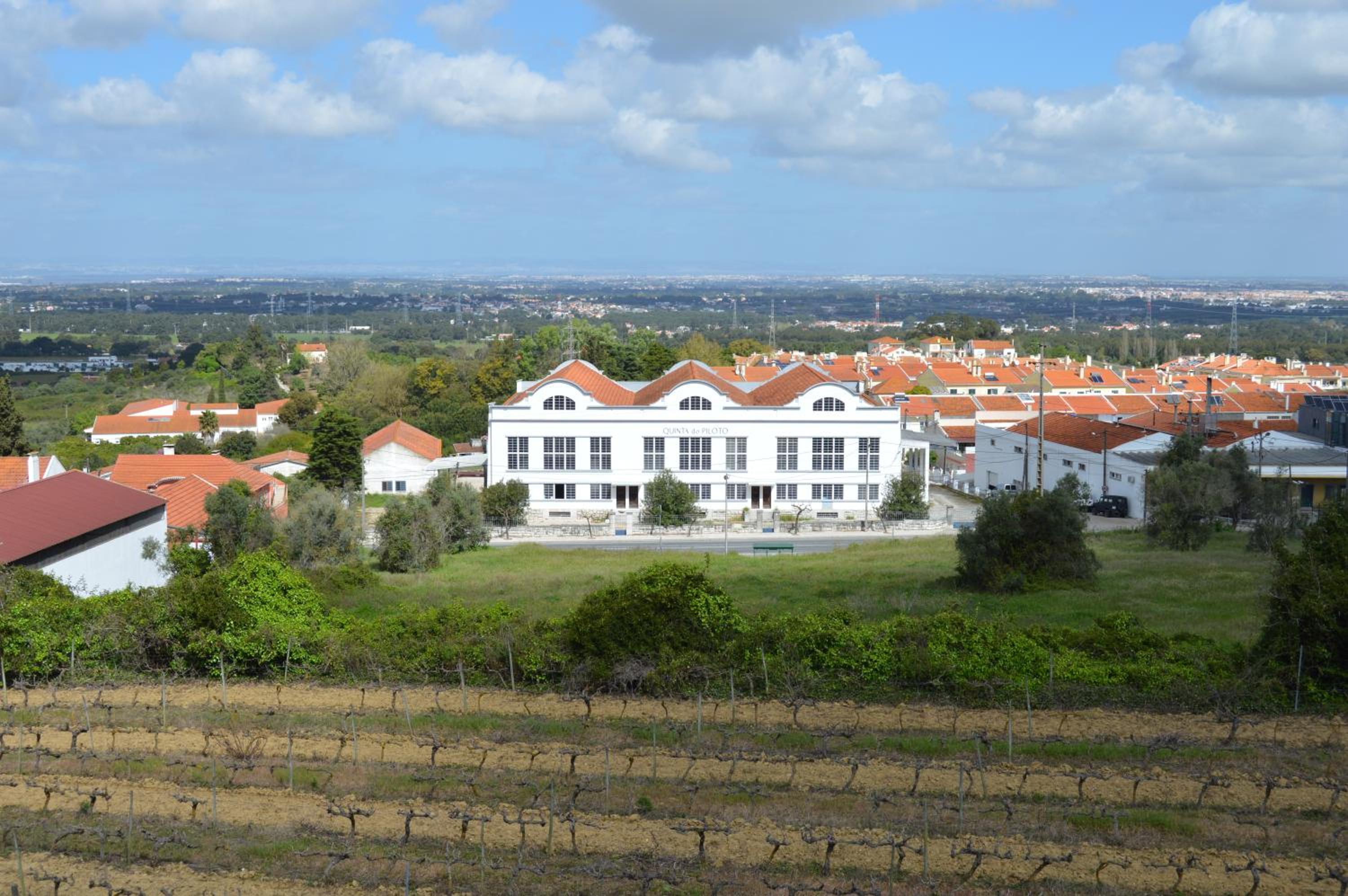 Quinta do Piloto, photo 21