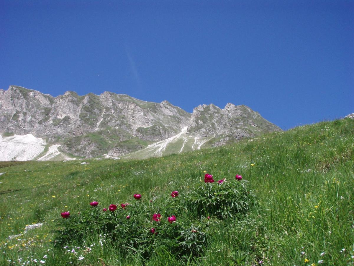 Photo 36