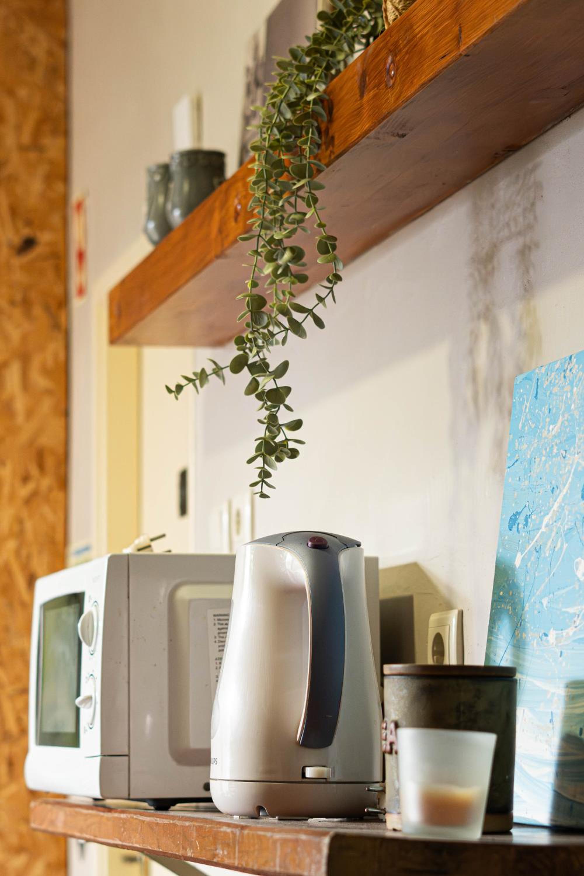 Eco Hostel - Tribo da Praia