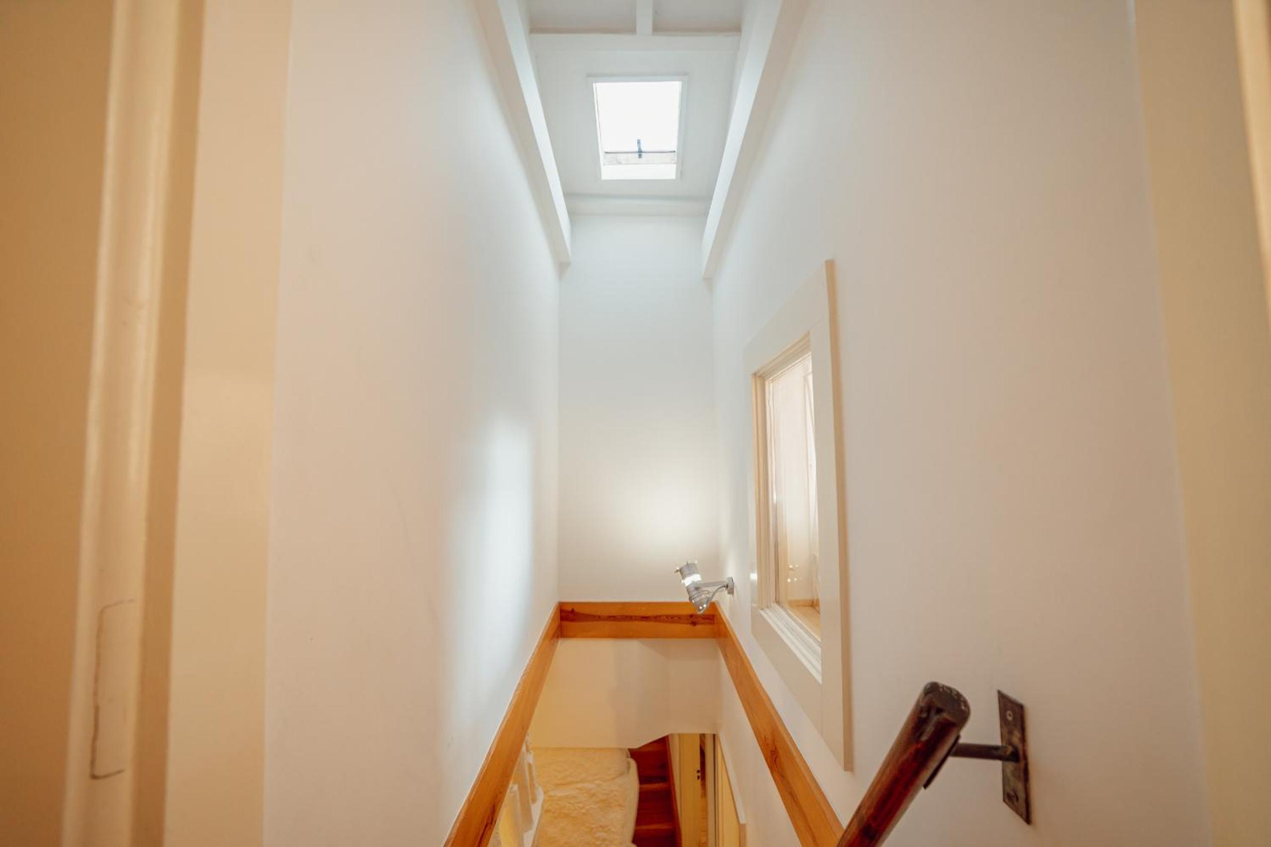 Historical Duplex by Hosty