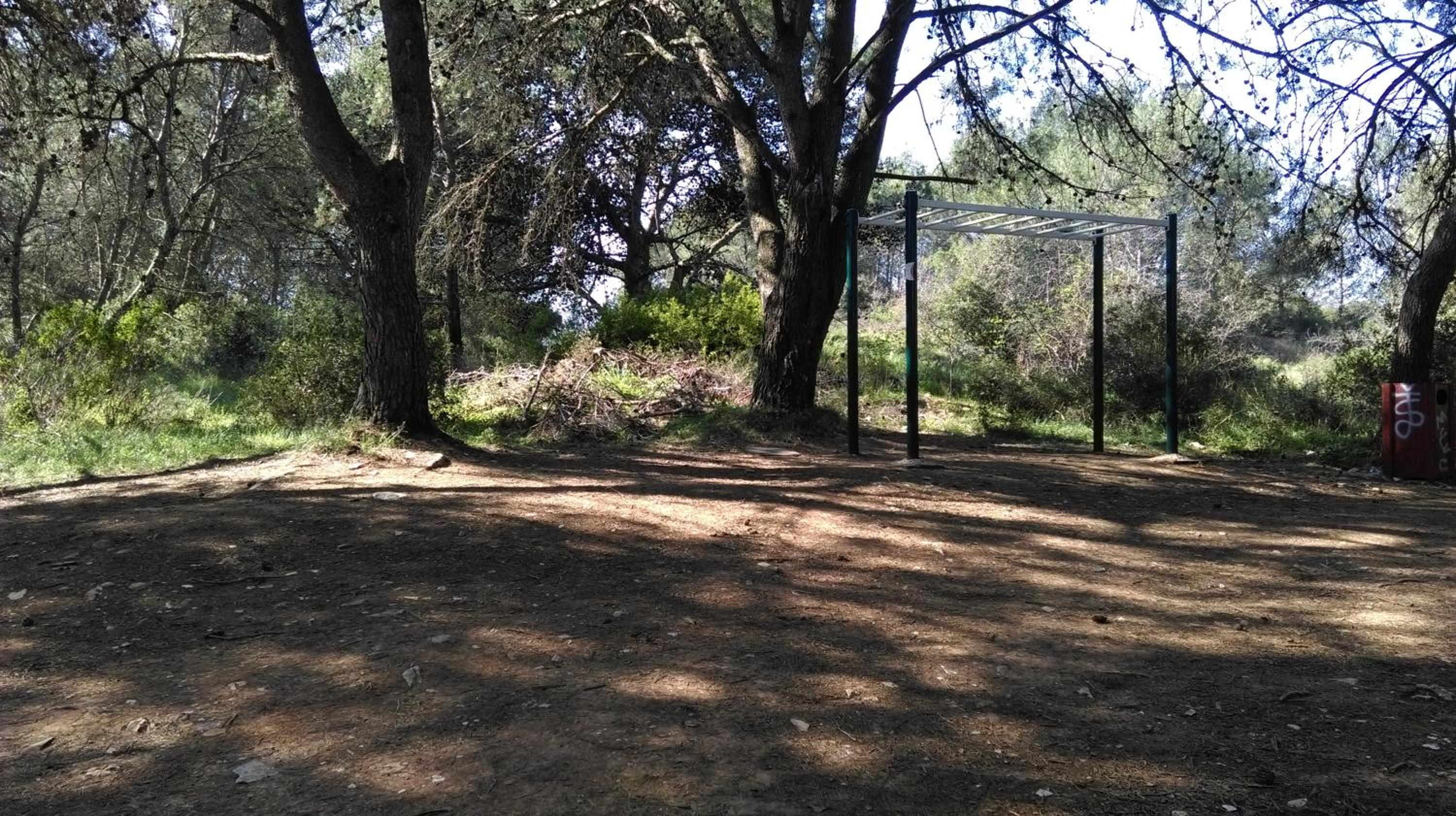 Photo 26