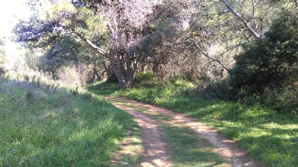Photo 28