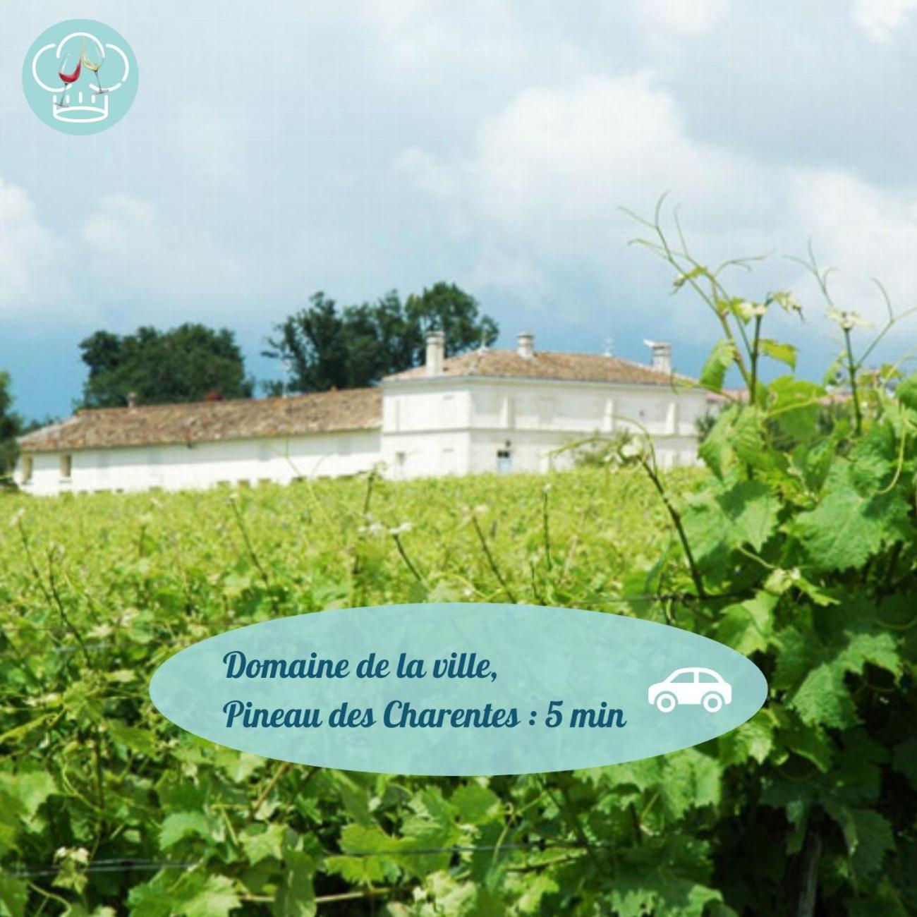 Maison Chelona Peinte - nature & calme - Chelona'Loc