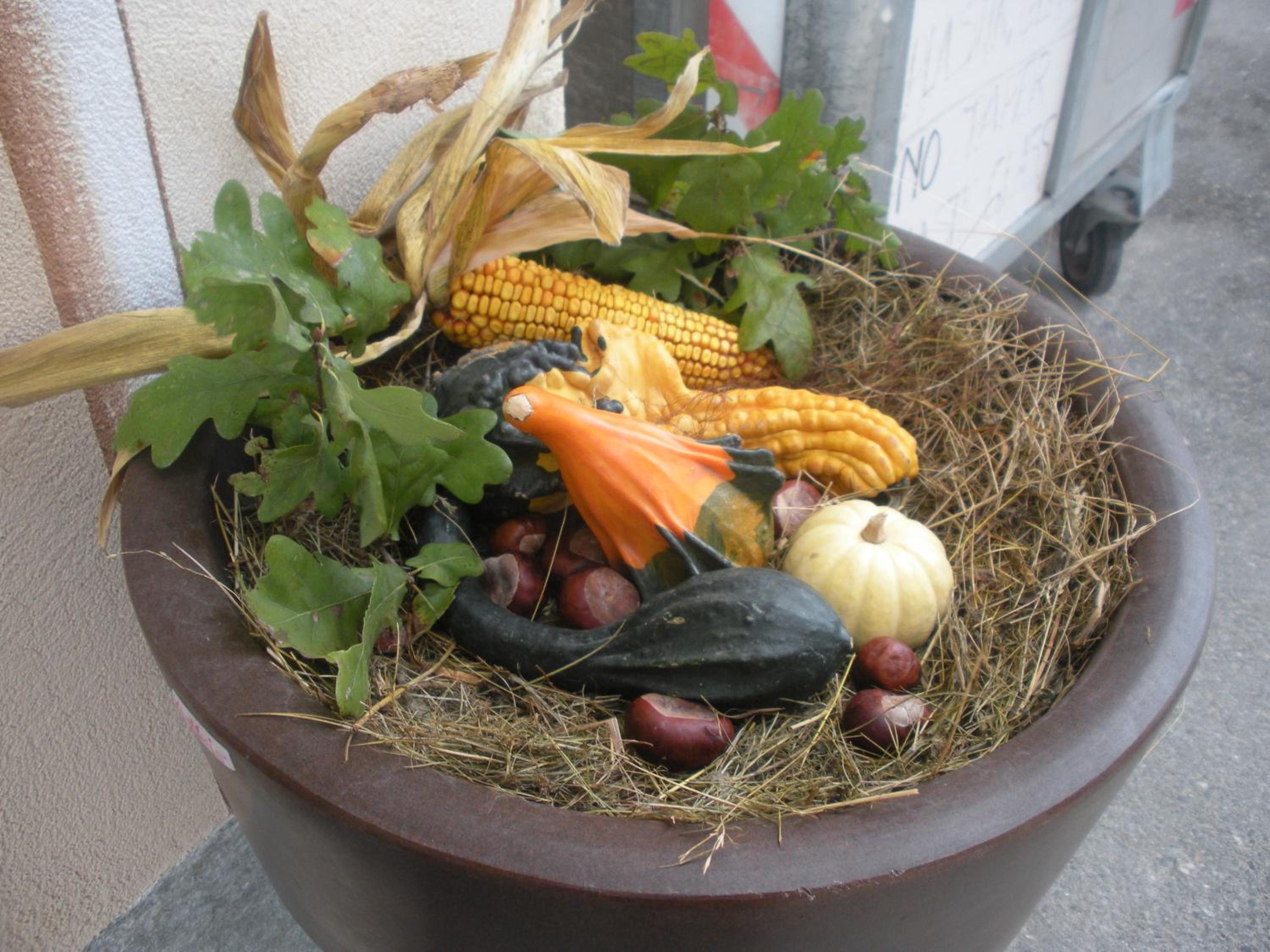 Photo 35