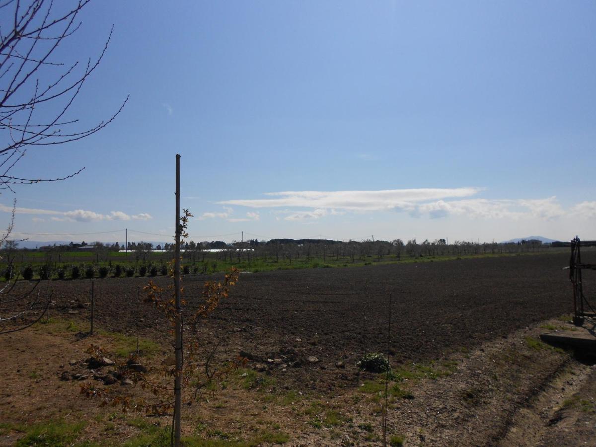 Photo 24