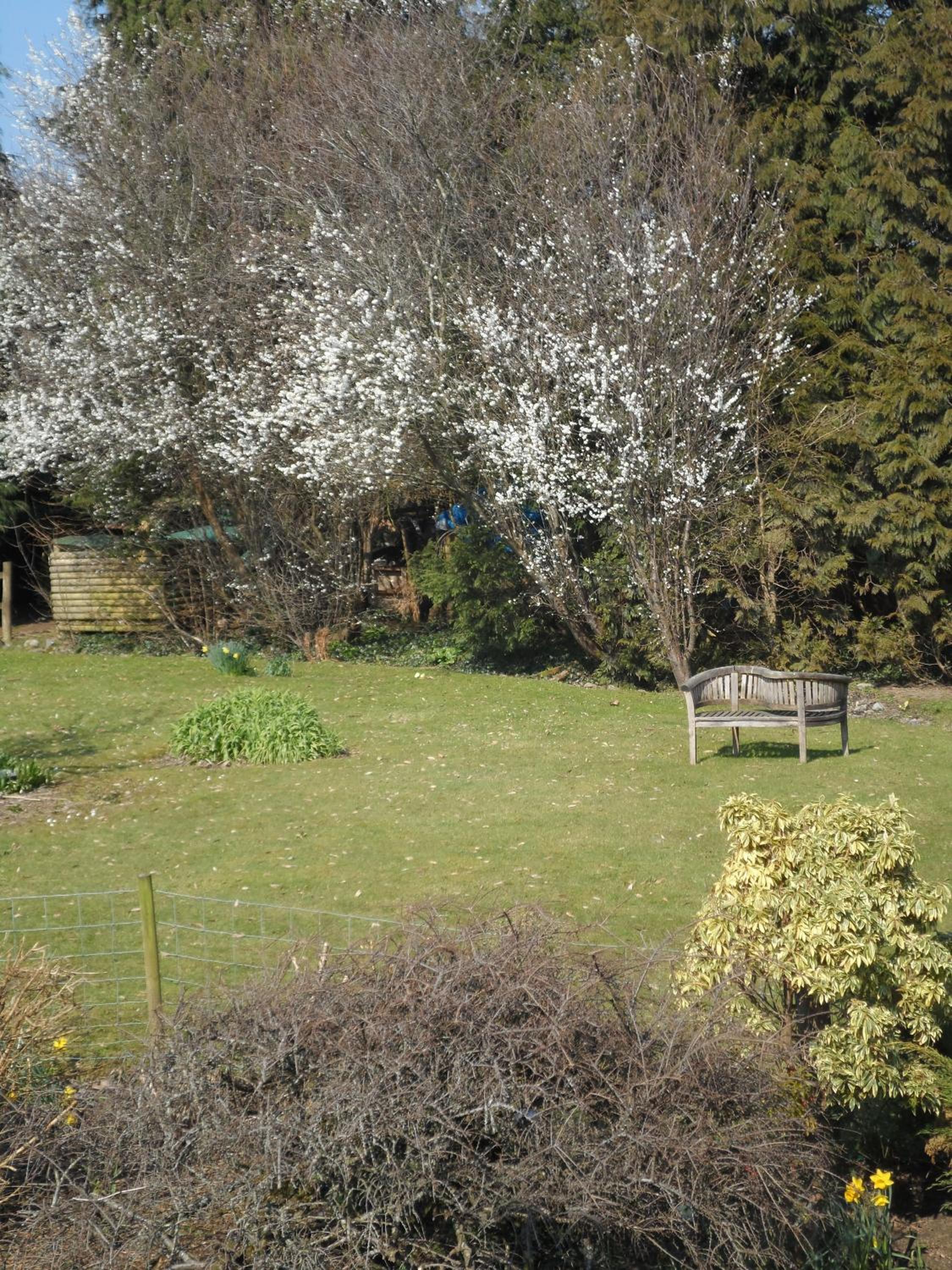 Photo 15