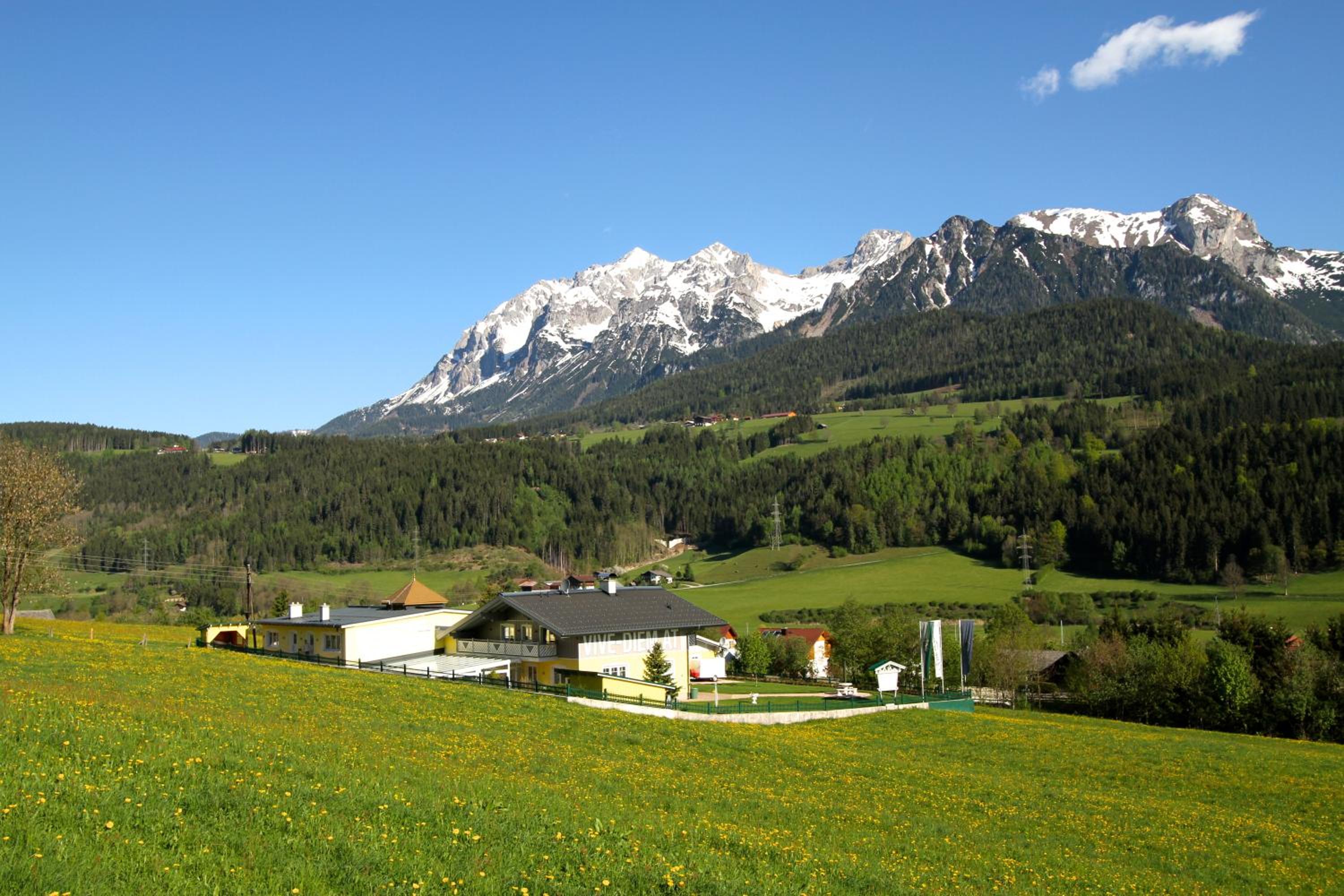 Photo 46