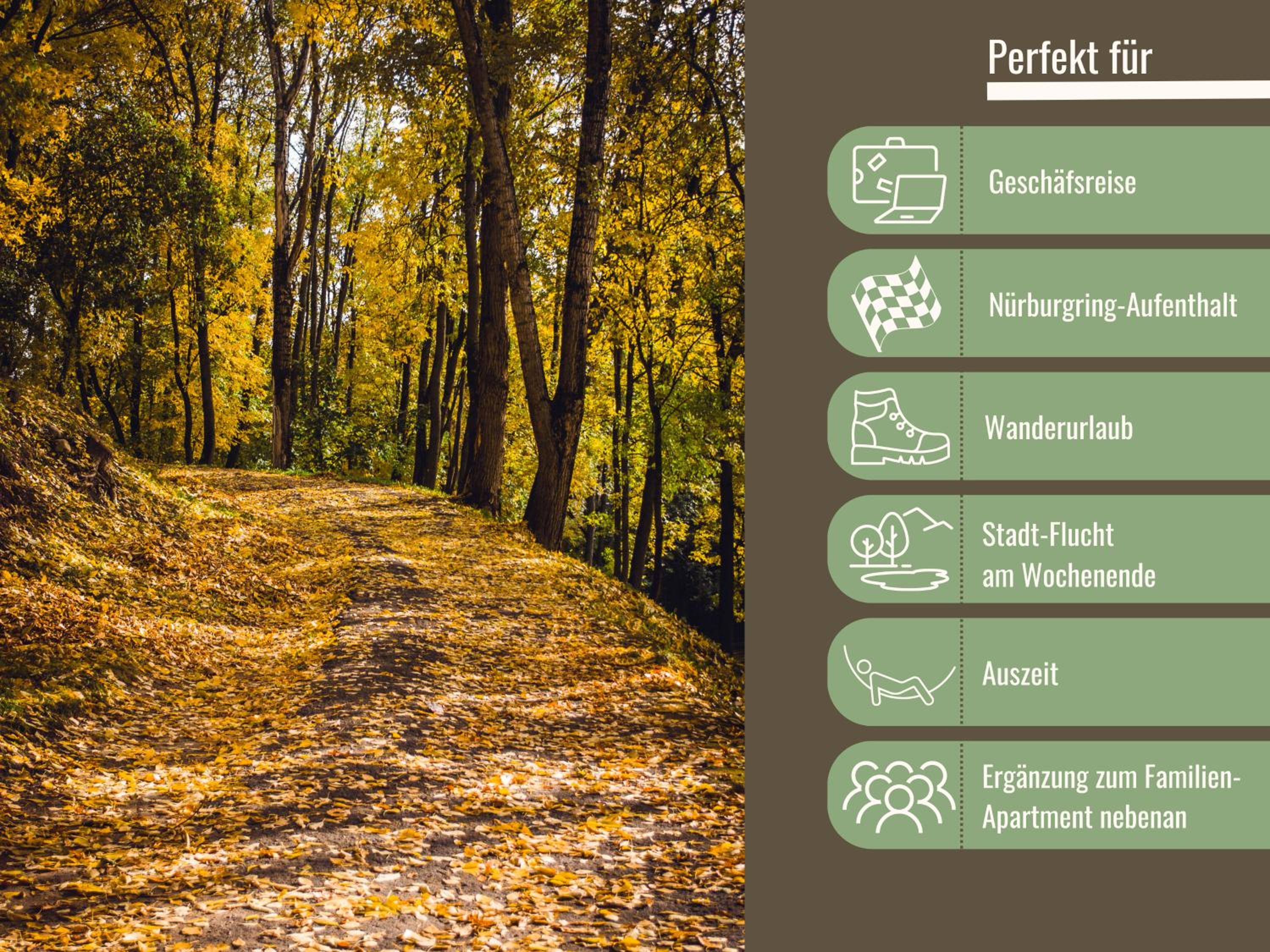 Kamin-Apartment Bodanum mit eigener Terrasse - naturnahe Ortsrandlage - VDSL - 10 min zum Nürburgring