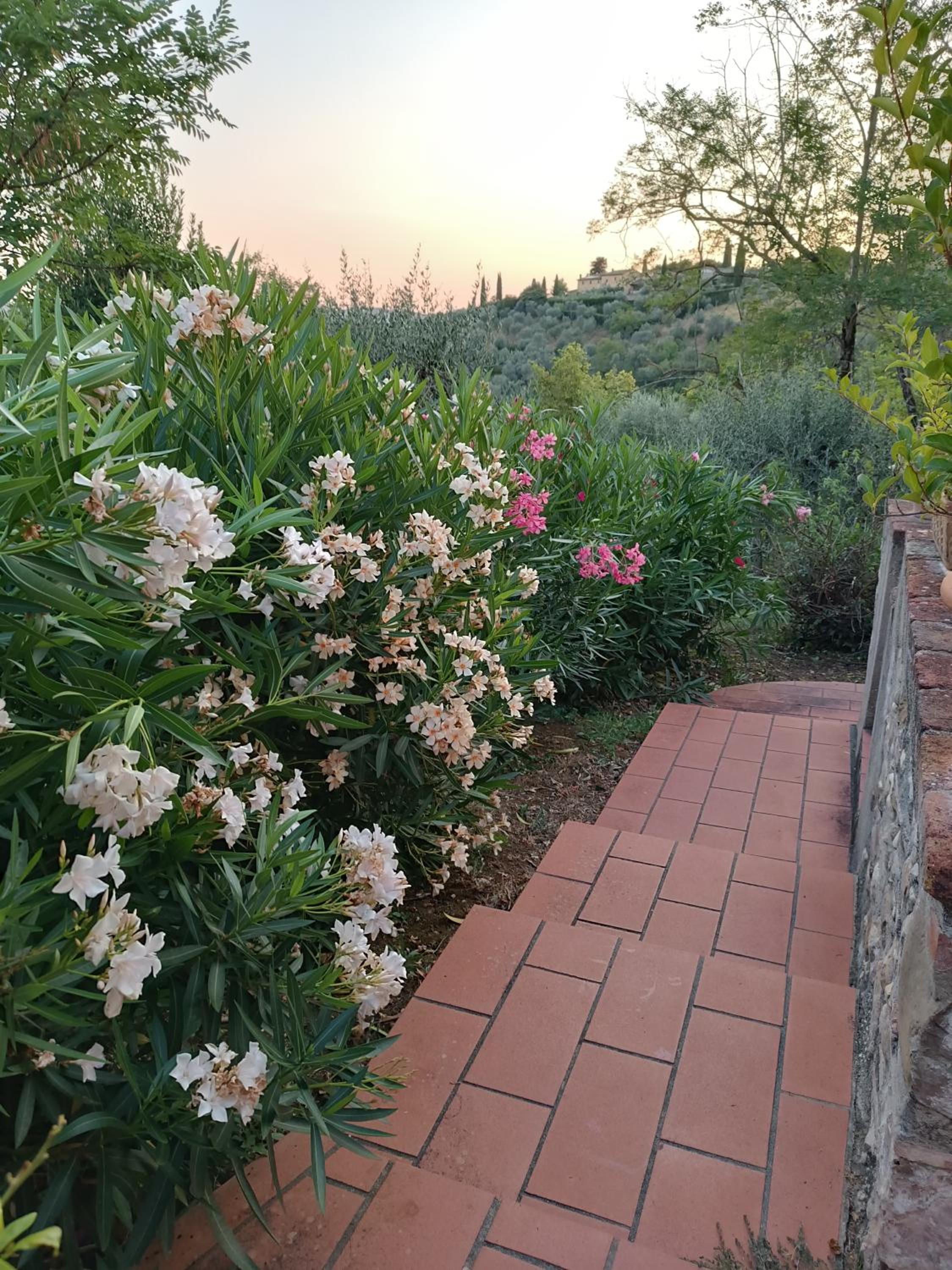 Le Massucce, photo 27
