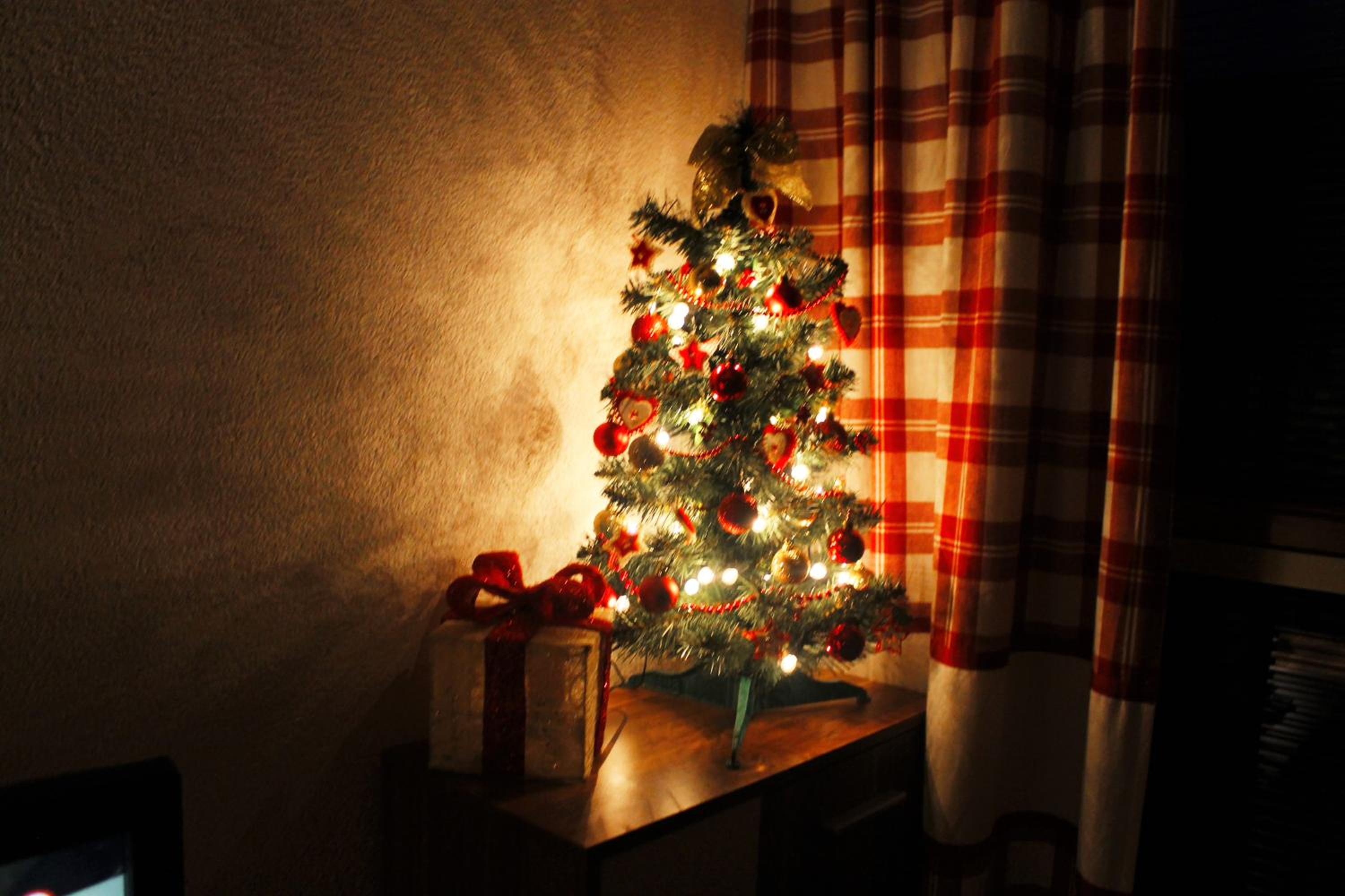 Photo 6