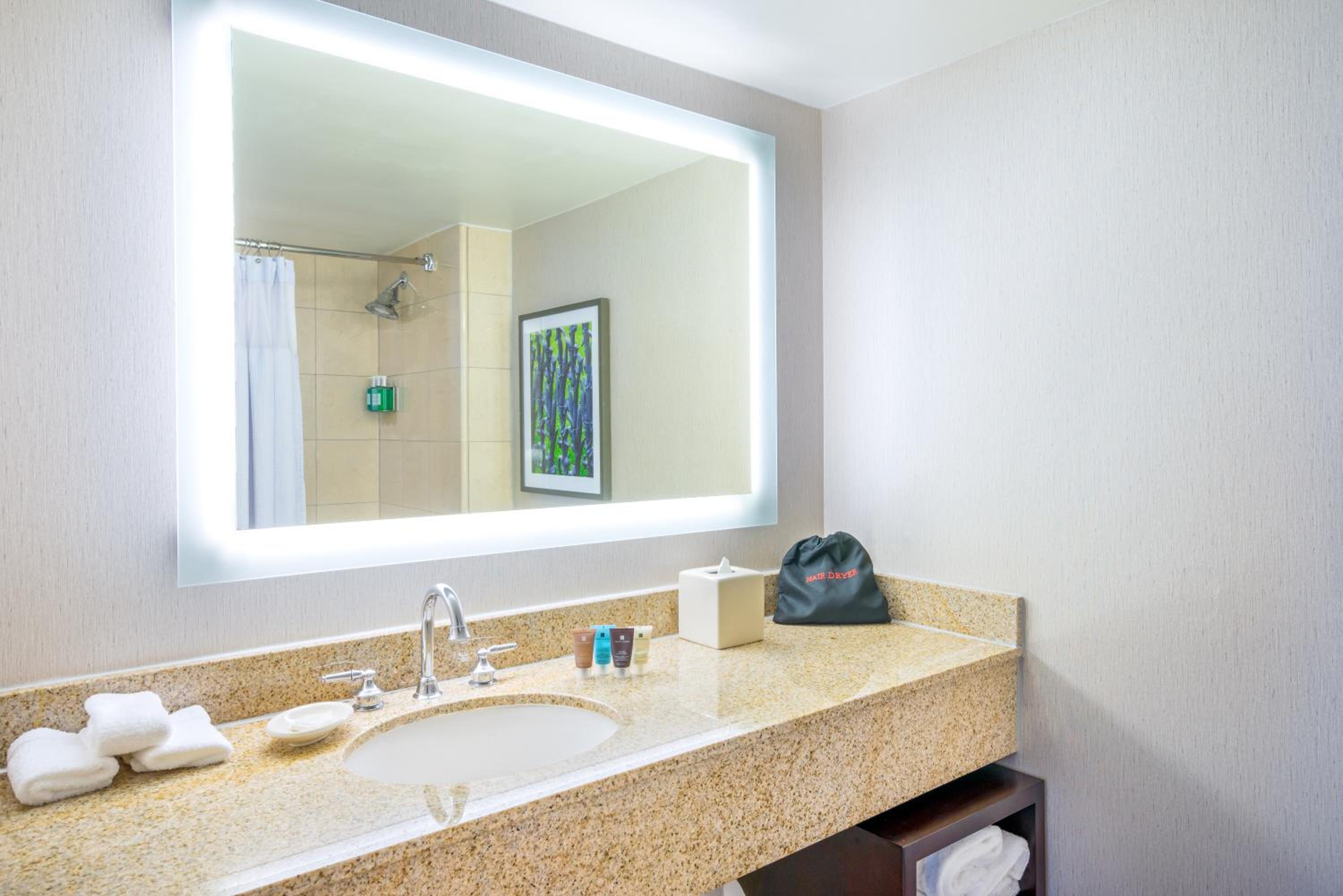 Crowne Plaza New Orleans French Qtr - Astor by IHG 9